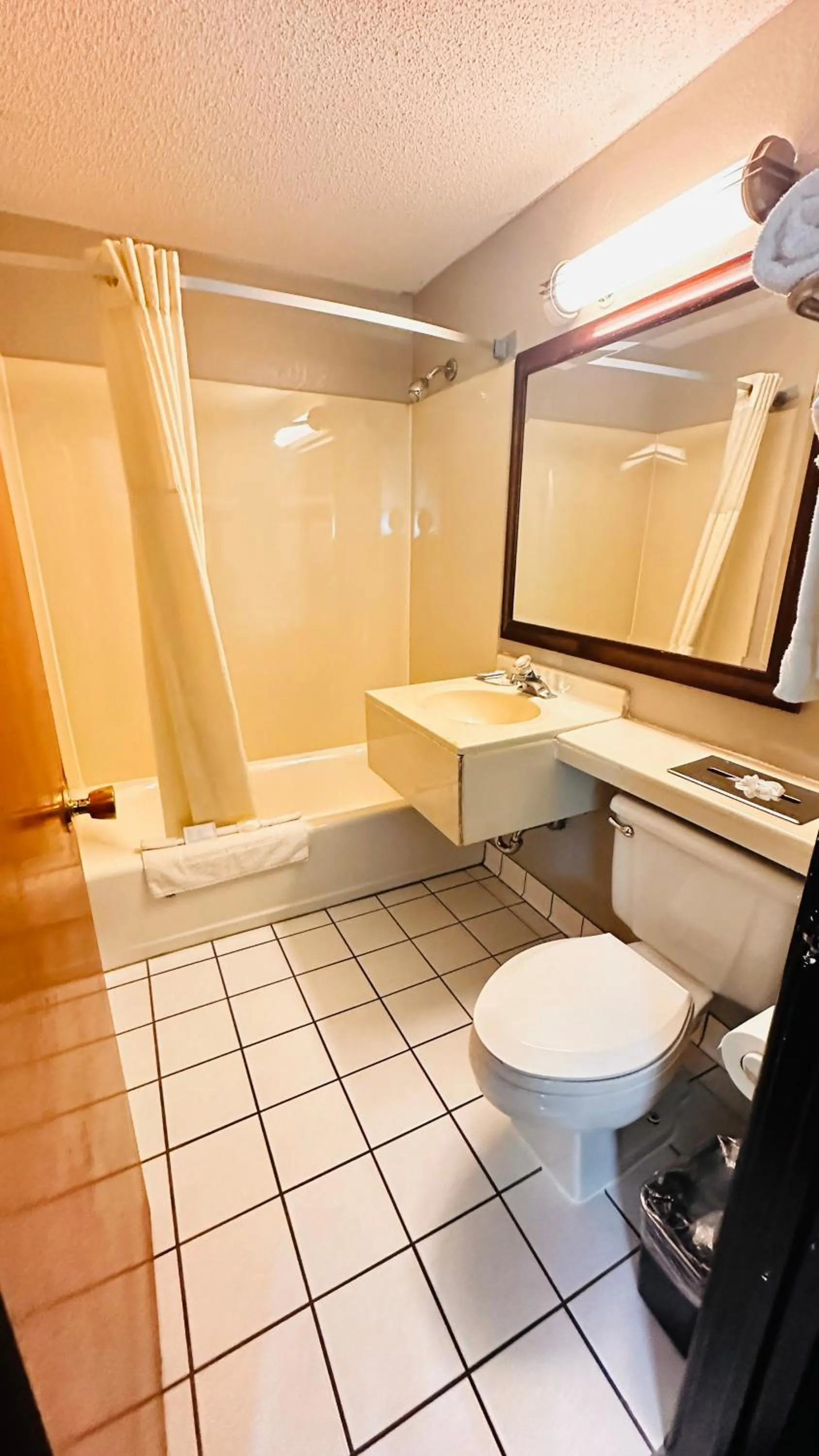 Bathroom in Quality Inn St Paul-Minneapolis-Midway