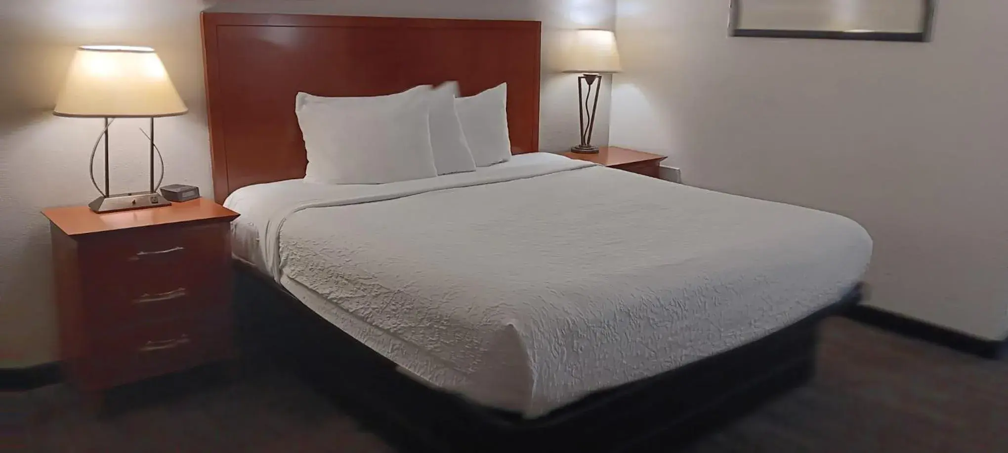 Bed in Quality Inn St Paul-Minneapolis-Midway Bed in Quality Inn St Paul-Minneapolis-Midway