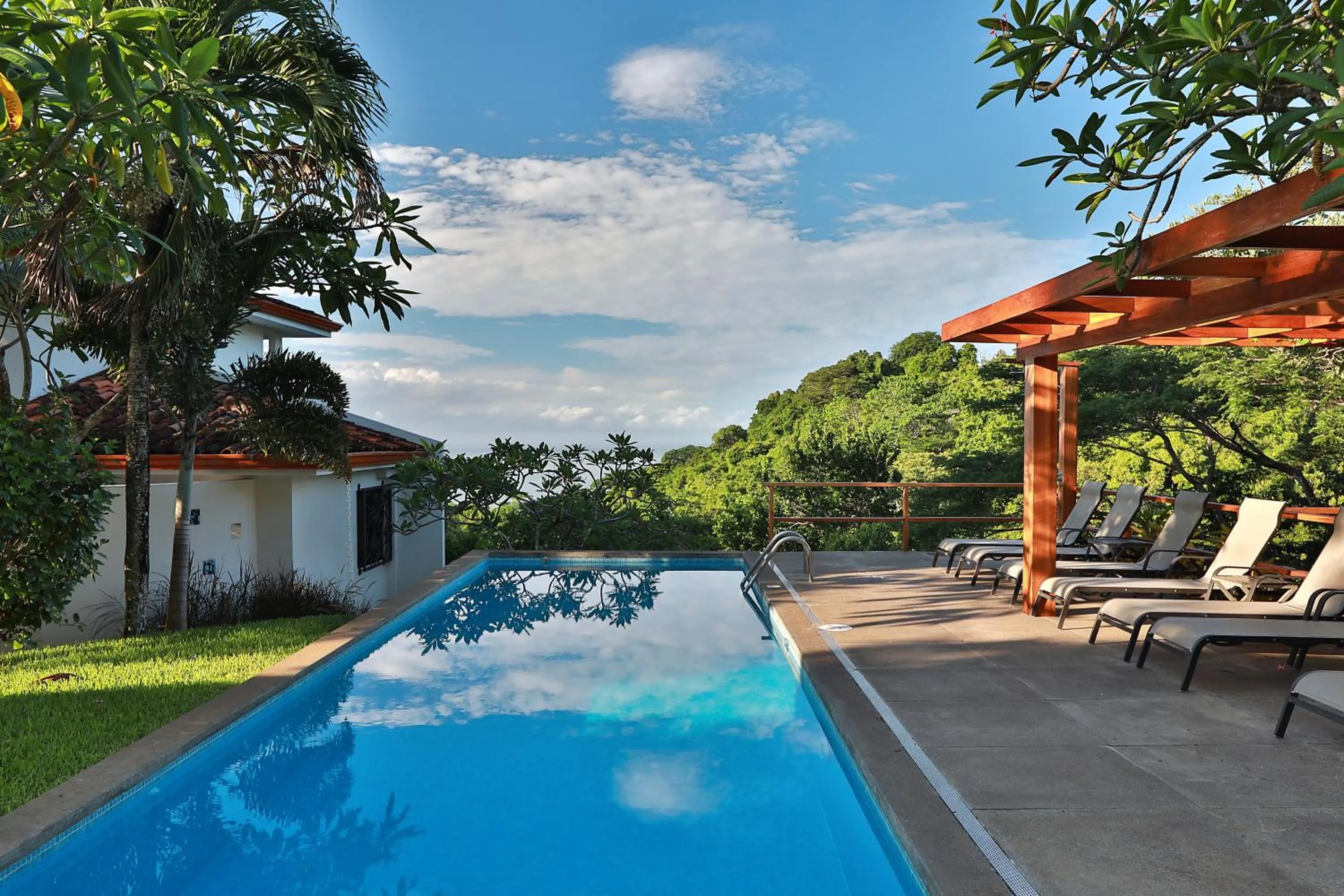 Swimming pool in Casa Frangipani