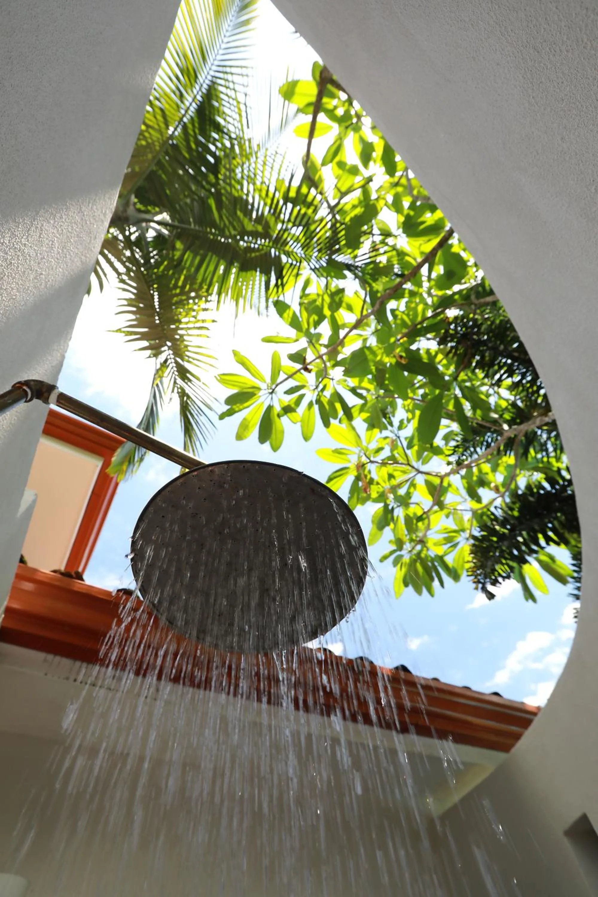 Casa Frangipani
