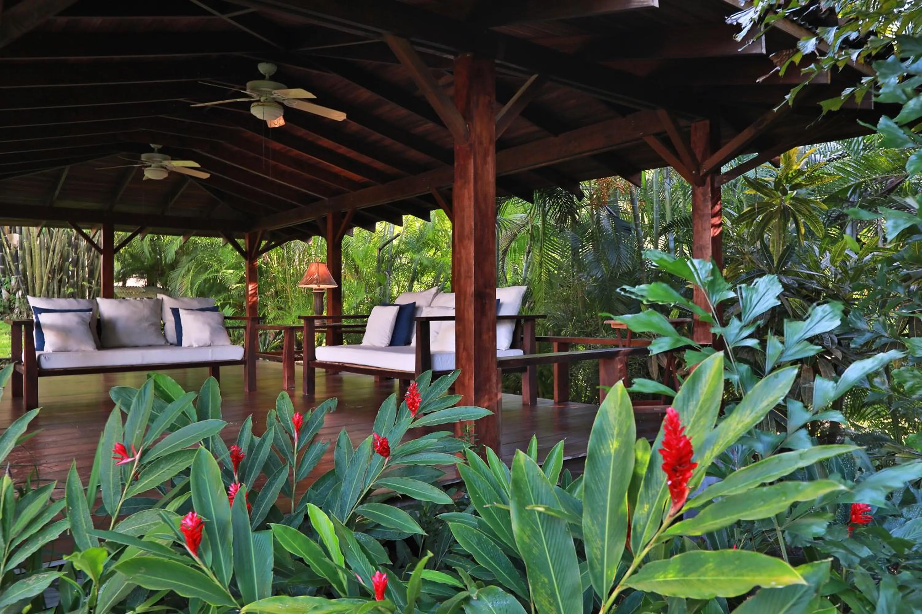 Casa Frangipani