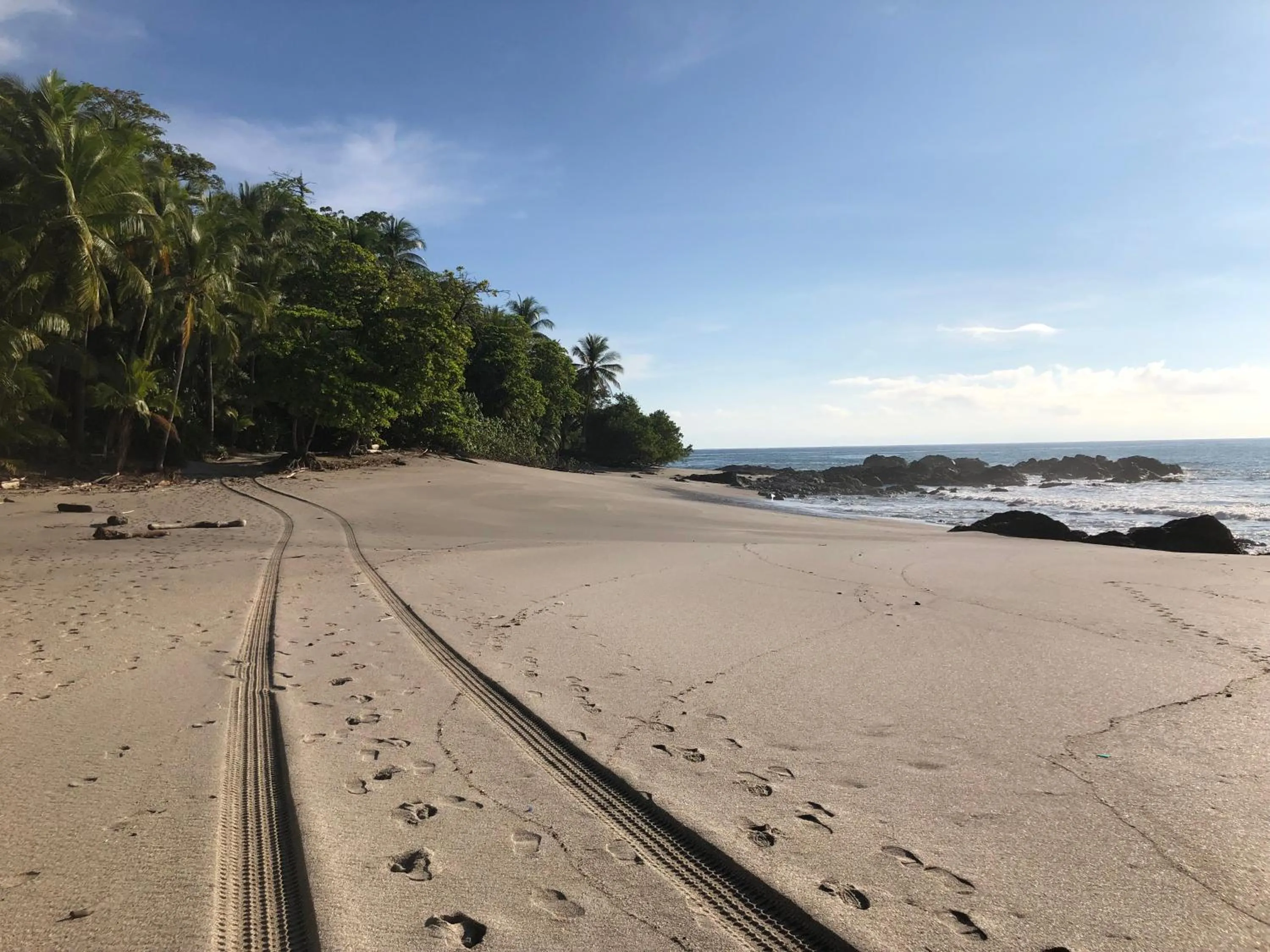 Beach in Casa Frangipani