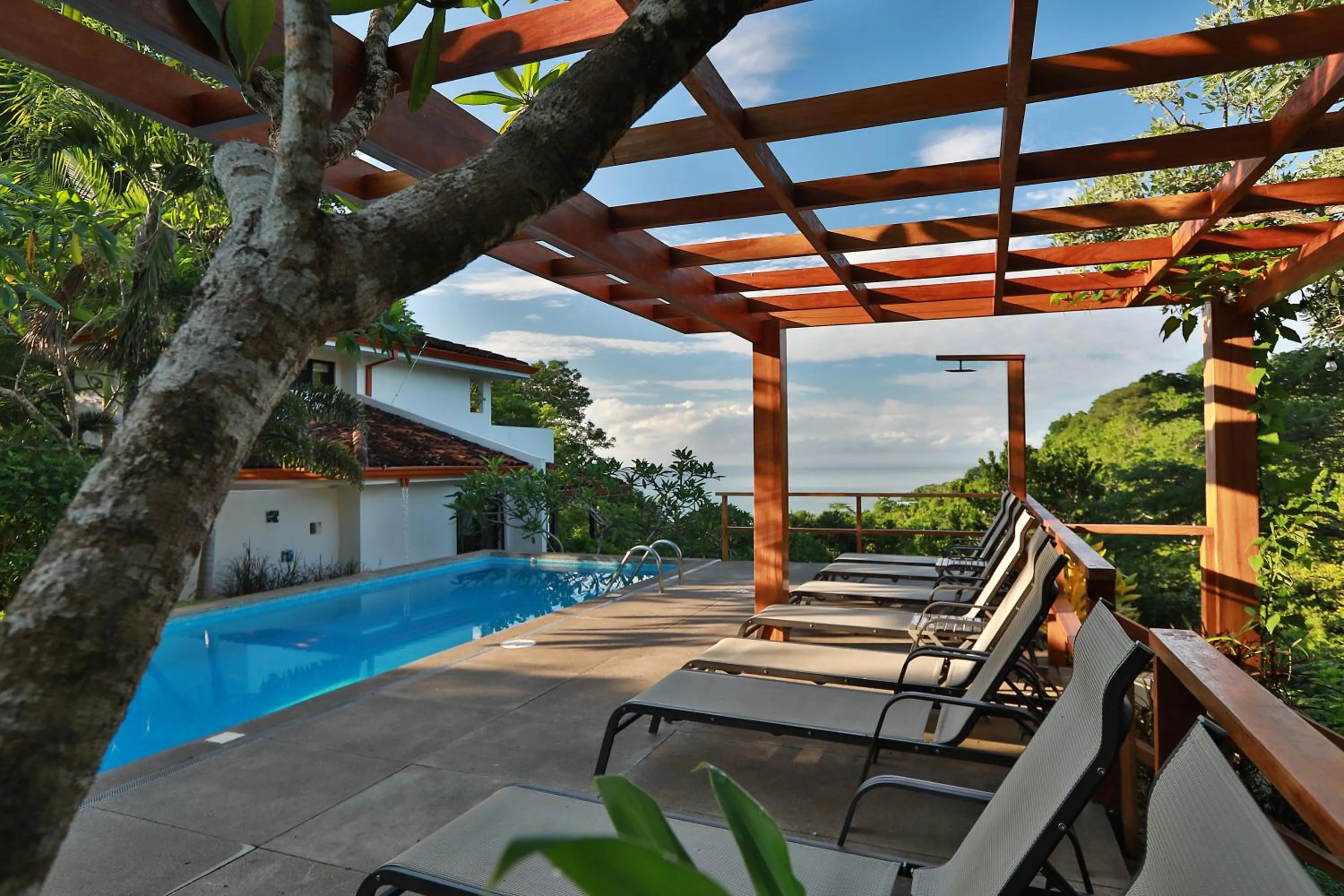 Pool view in Casa Frangipani