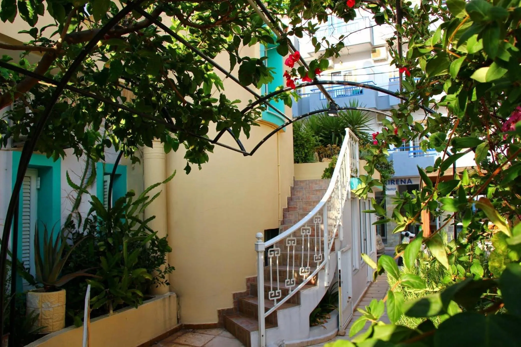 Garden in Albatross Apartments