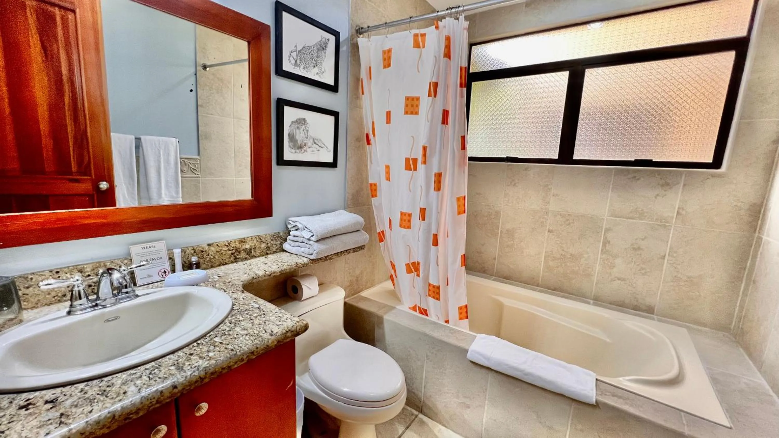 Bathroom in Monte Carlo Luxury Condominiums