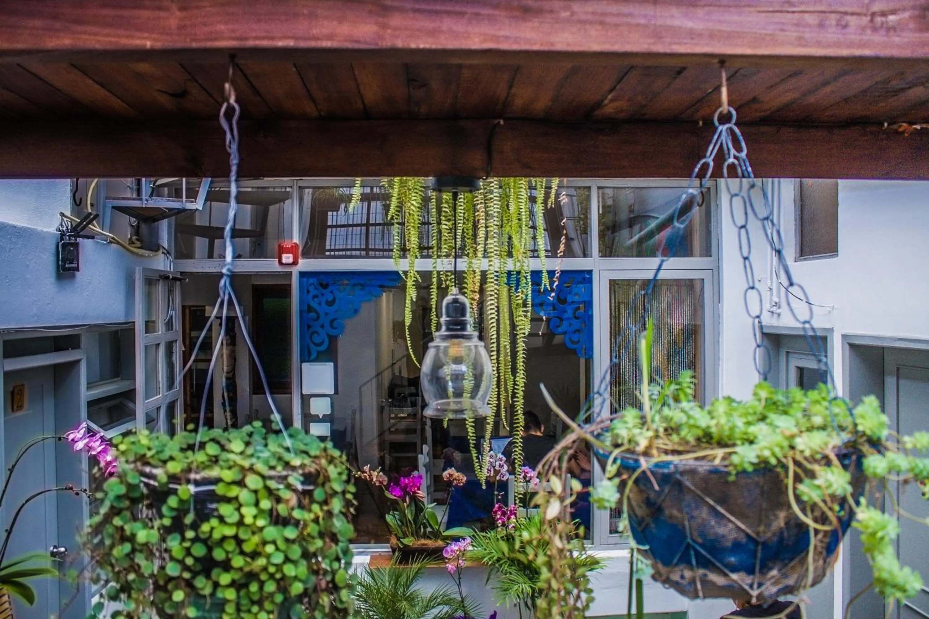 Garden in Hostal Posada del Maple