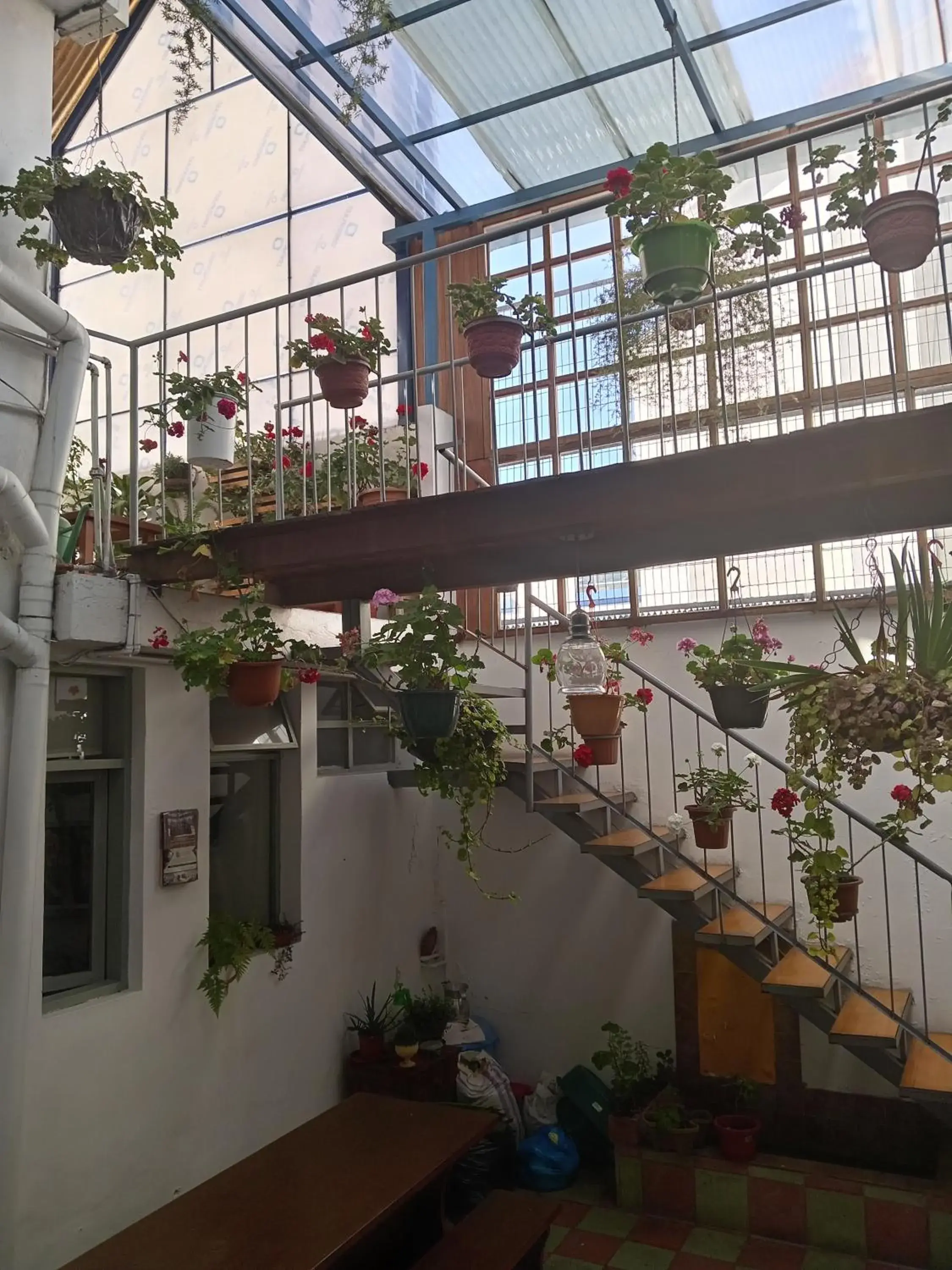 Breakfast in Hostal Posada del Maple Breakfast in Hostal Posada del Maple