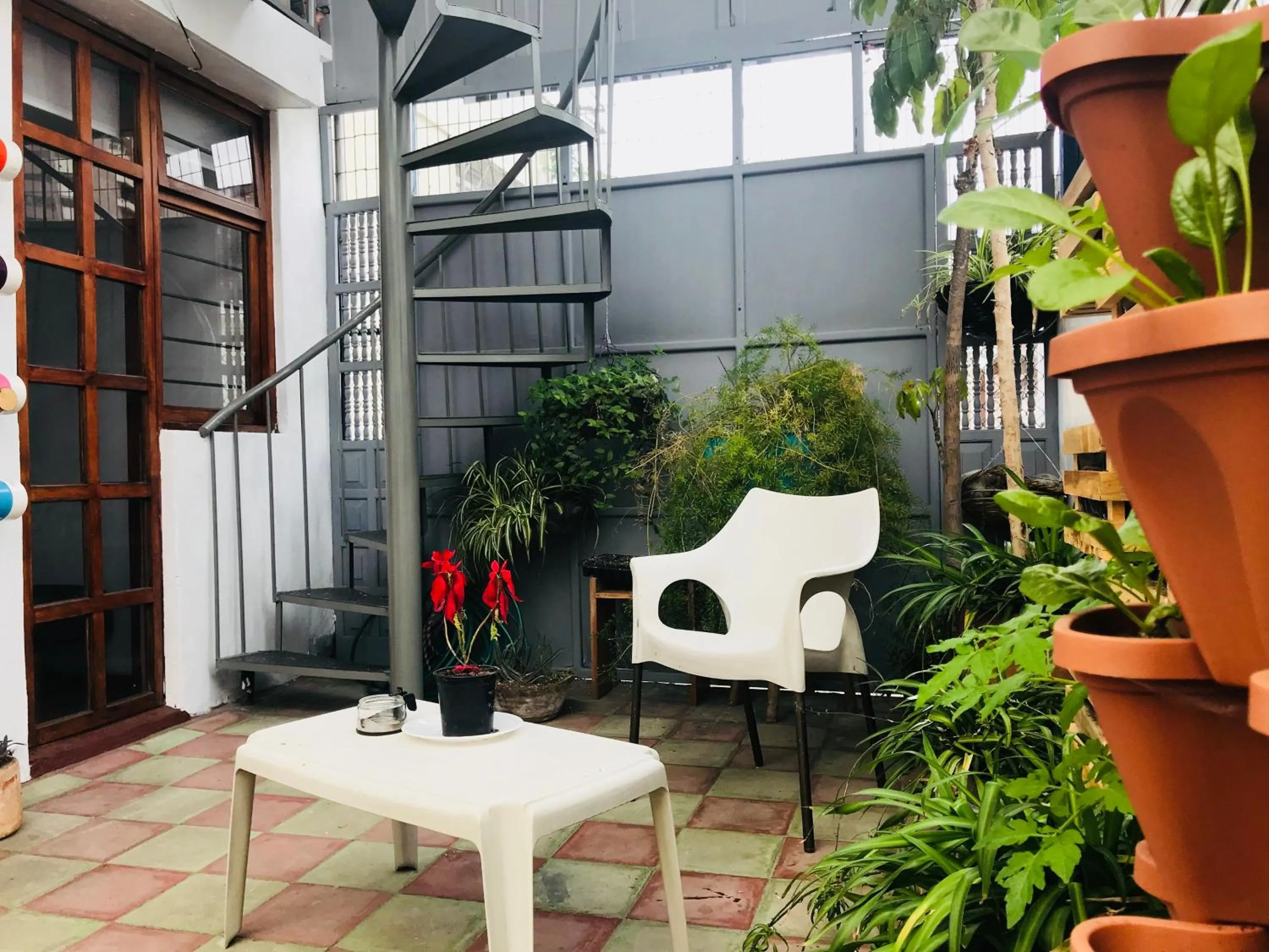 Patio in Hostal Posada del Maple