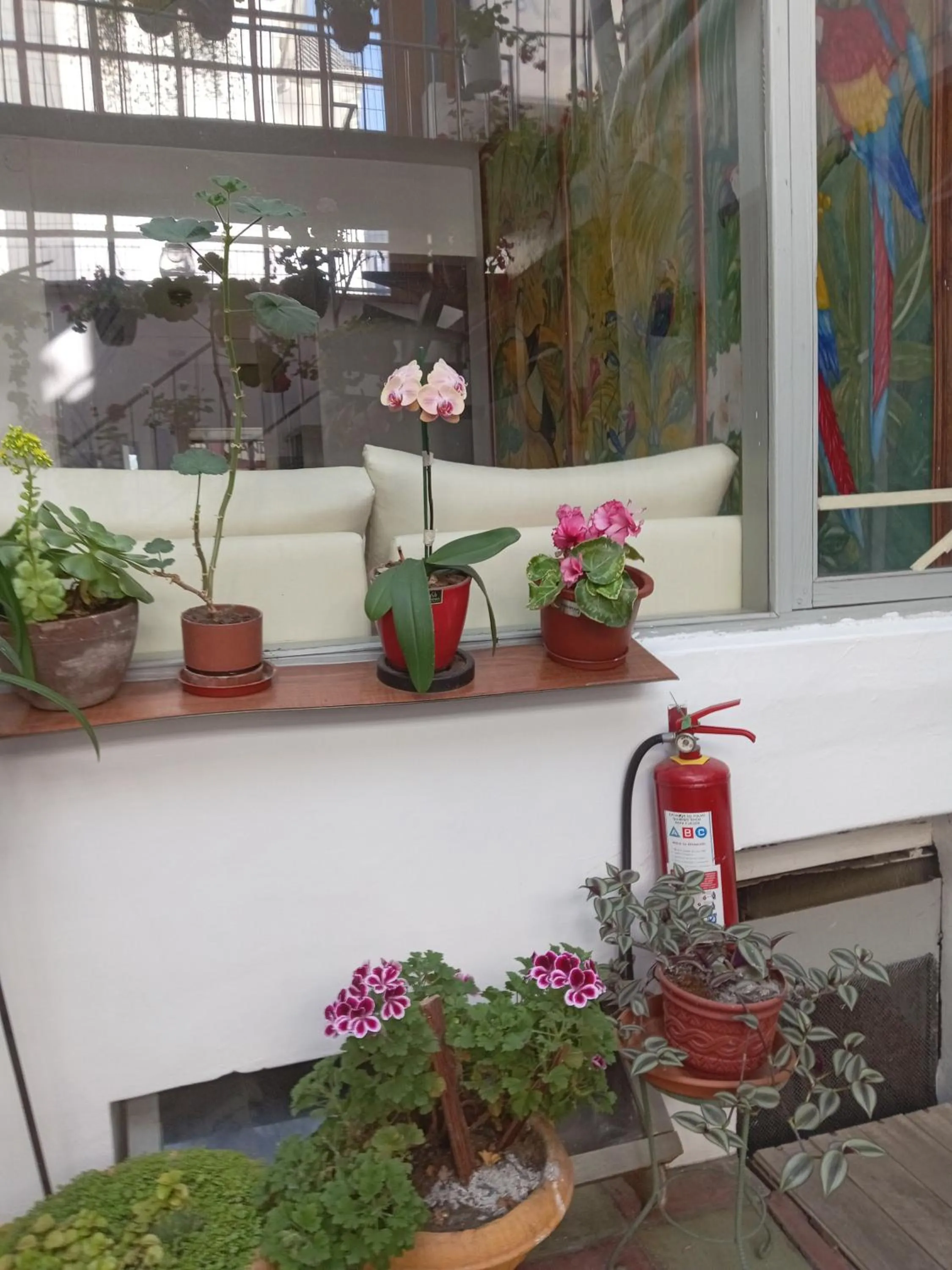 Hostal Posada del Maple