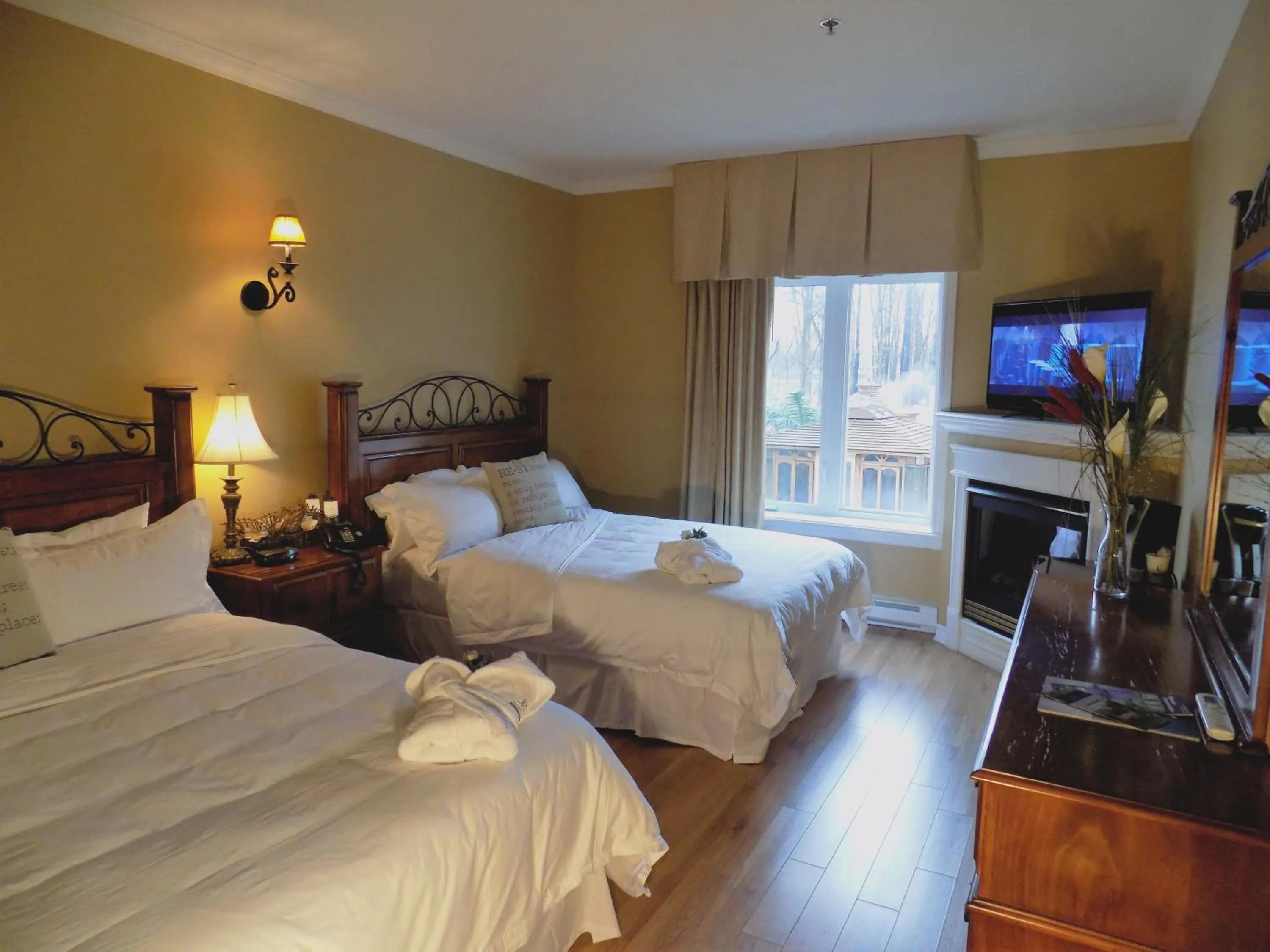 Photo of the whole room in L'Oasis de l'Île