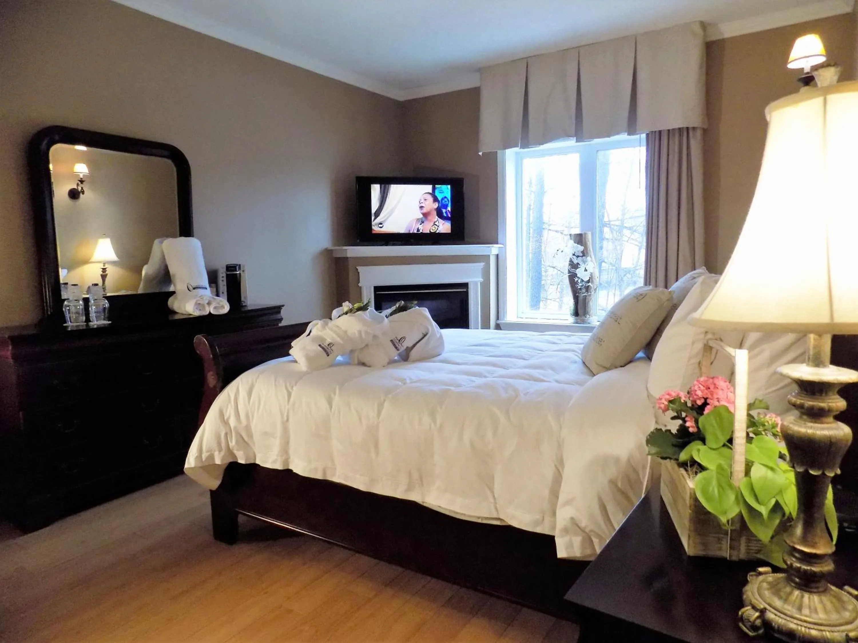 Photo of the whole room in L'Oasis de l'Île