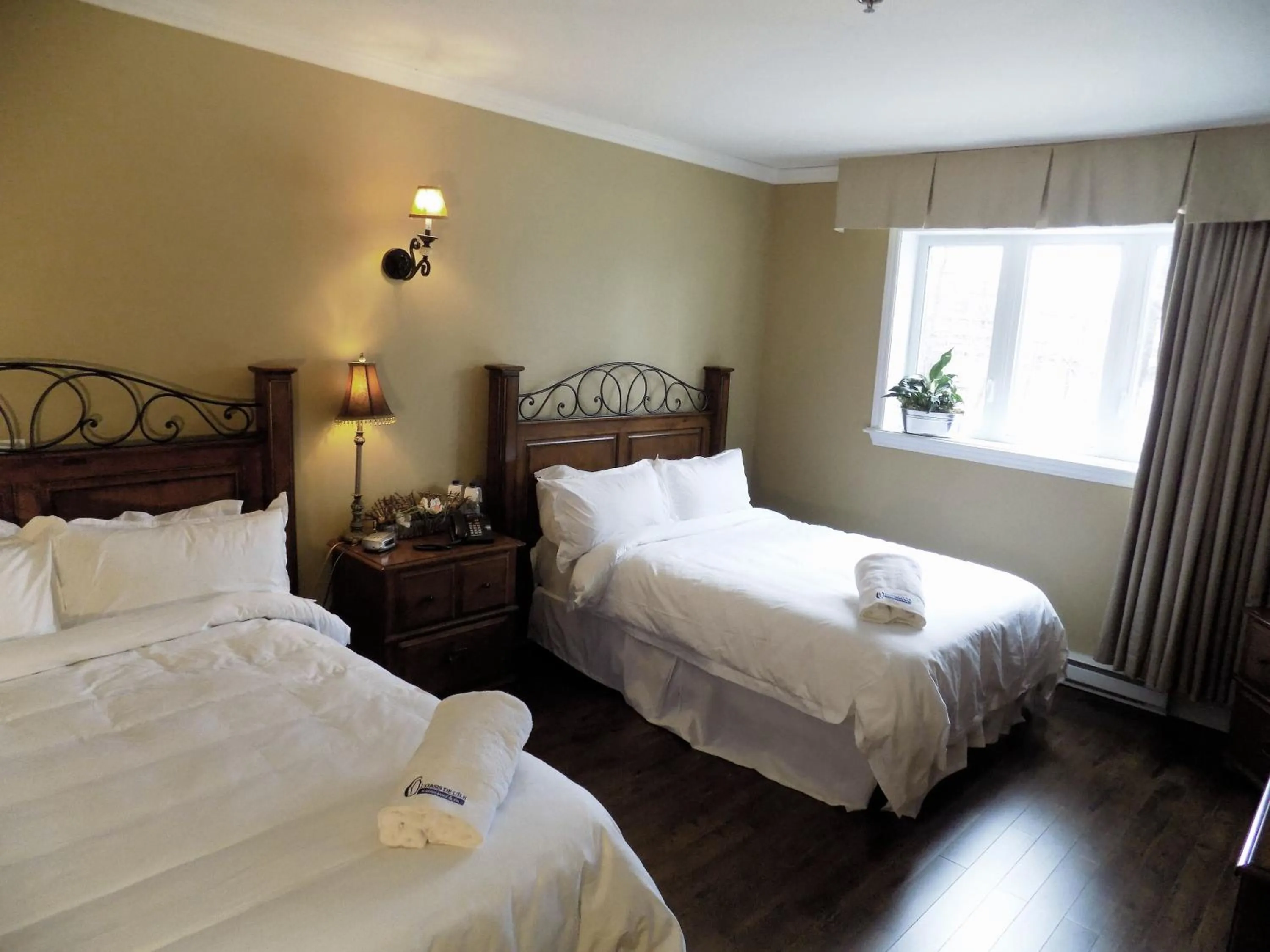 Photo of the whole room in L'Oasis de l'Île