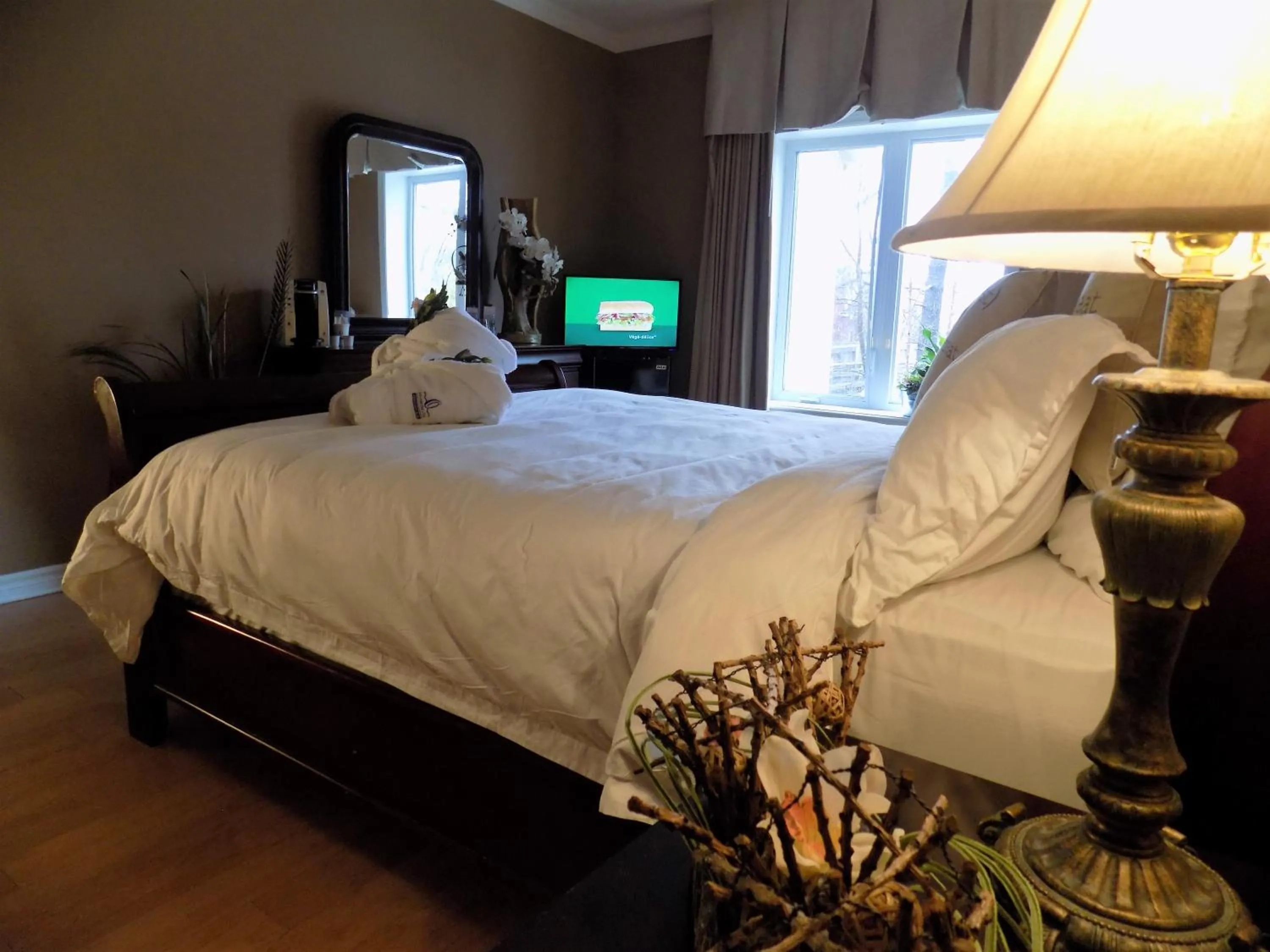 Photo of the whole room in L'Oasis de l'Île