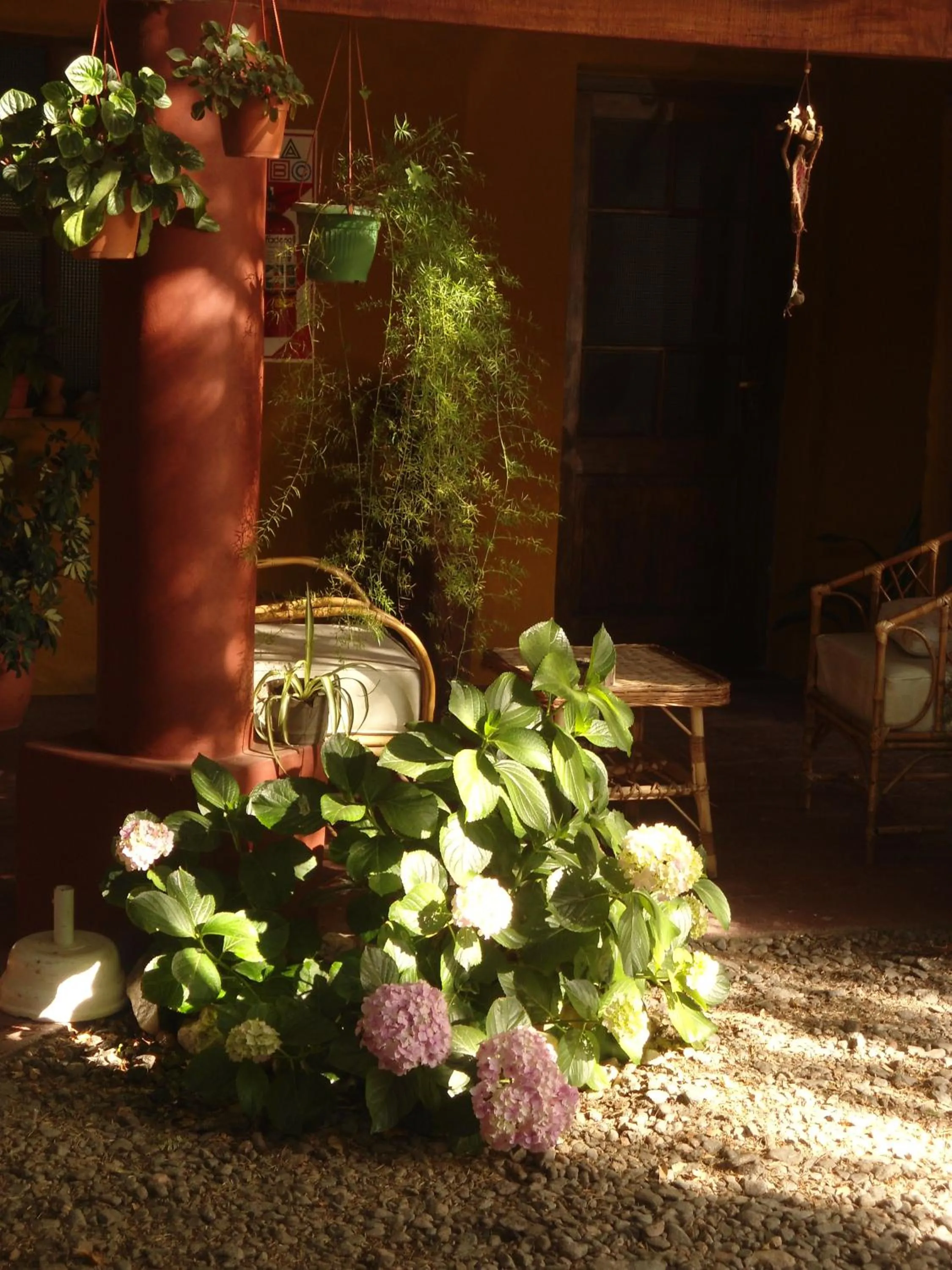Patio in La Montaña B&B
