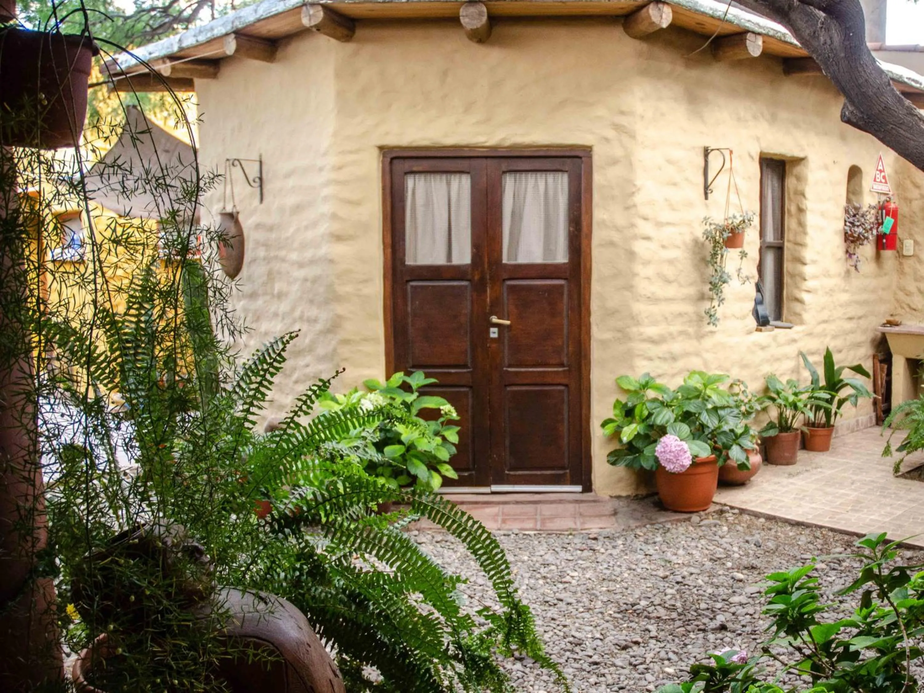 Garden in La Montaña B&B