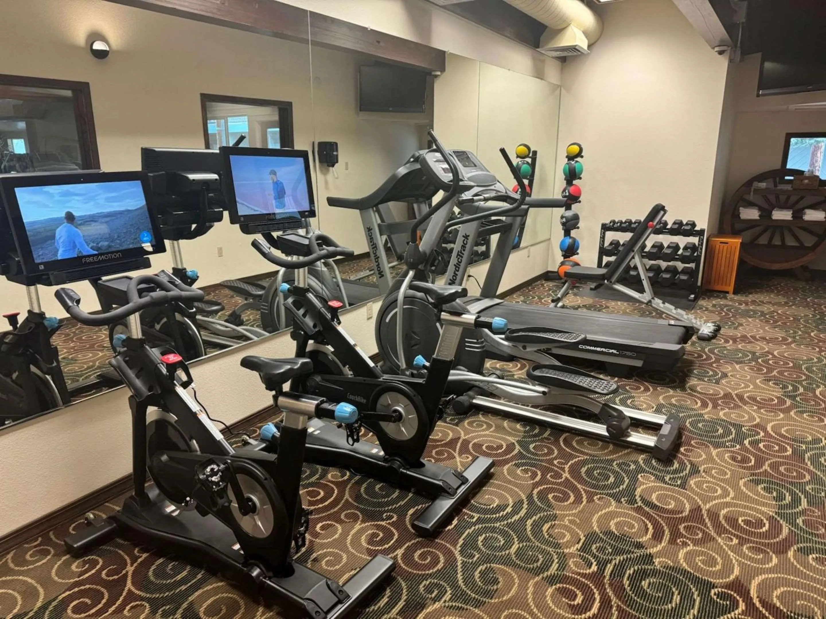 Fitness centre/facilities in Best Western Plus Tree House
