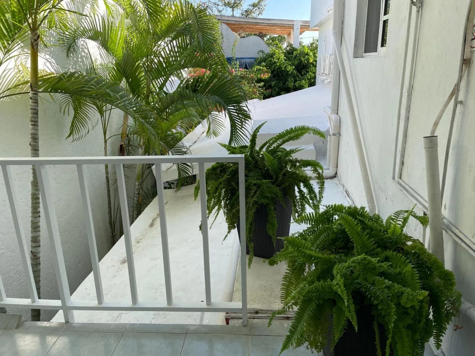 Balcony/Terrace in Caribo Cozumel