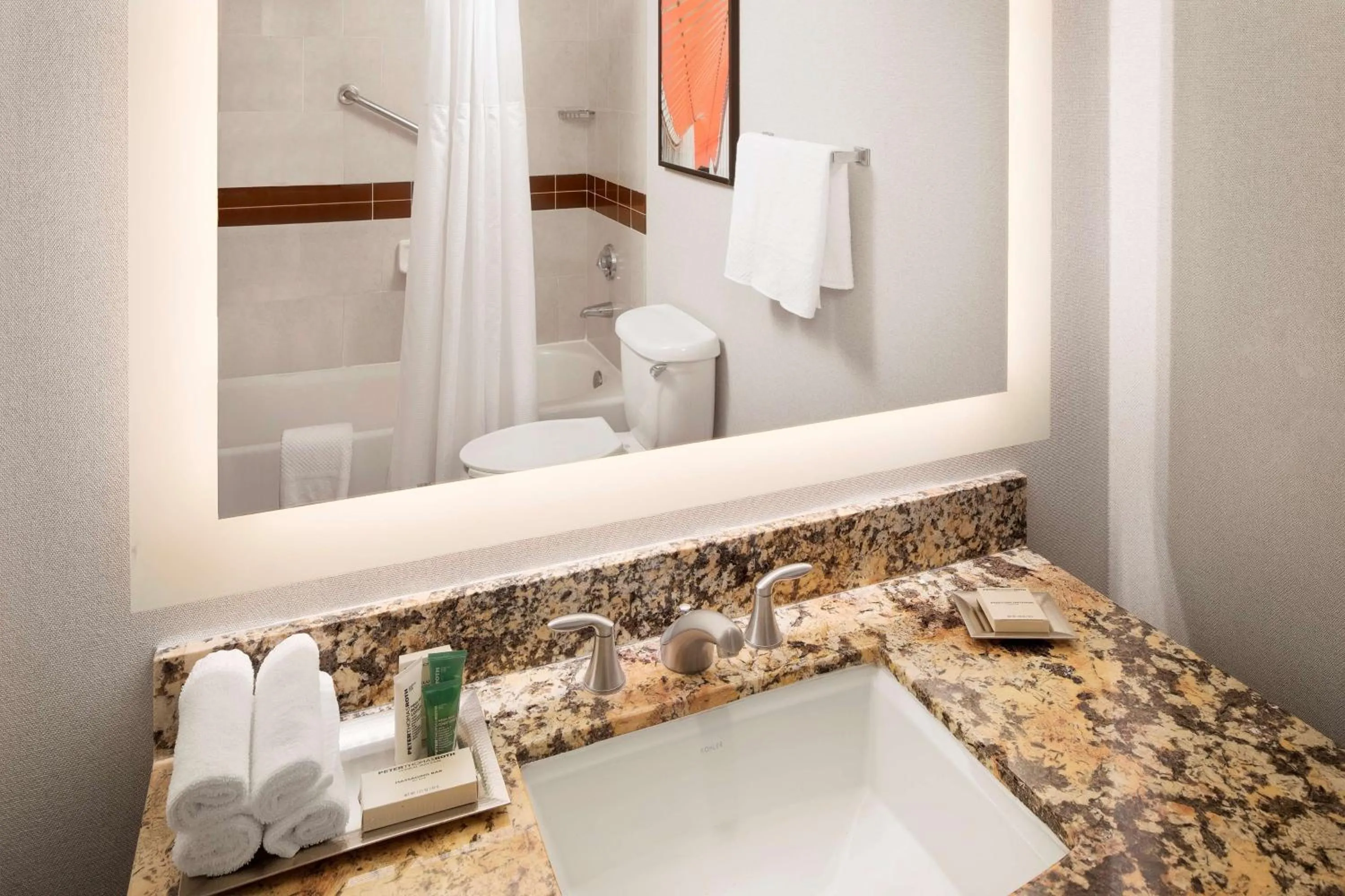 Bathroom in Hilton University of Florida Conference Center Gainesville