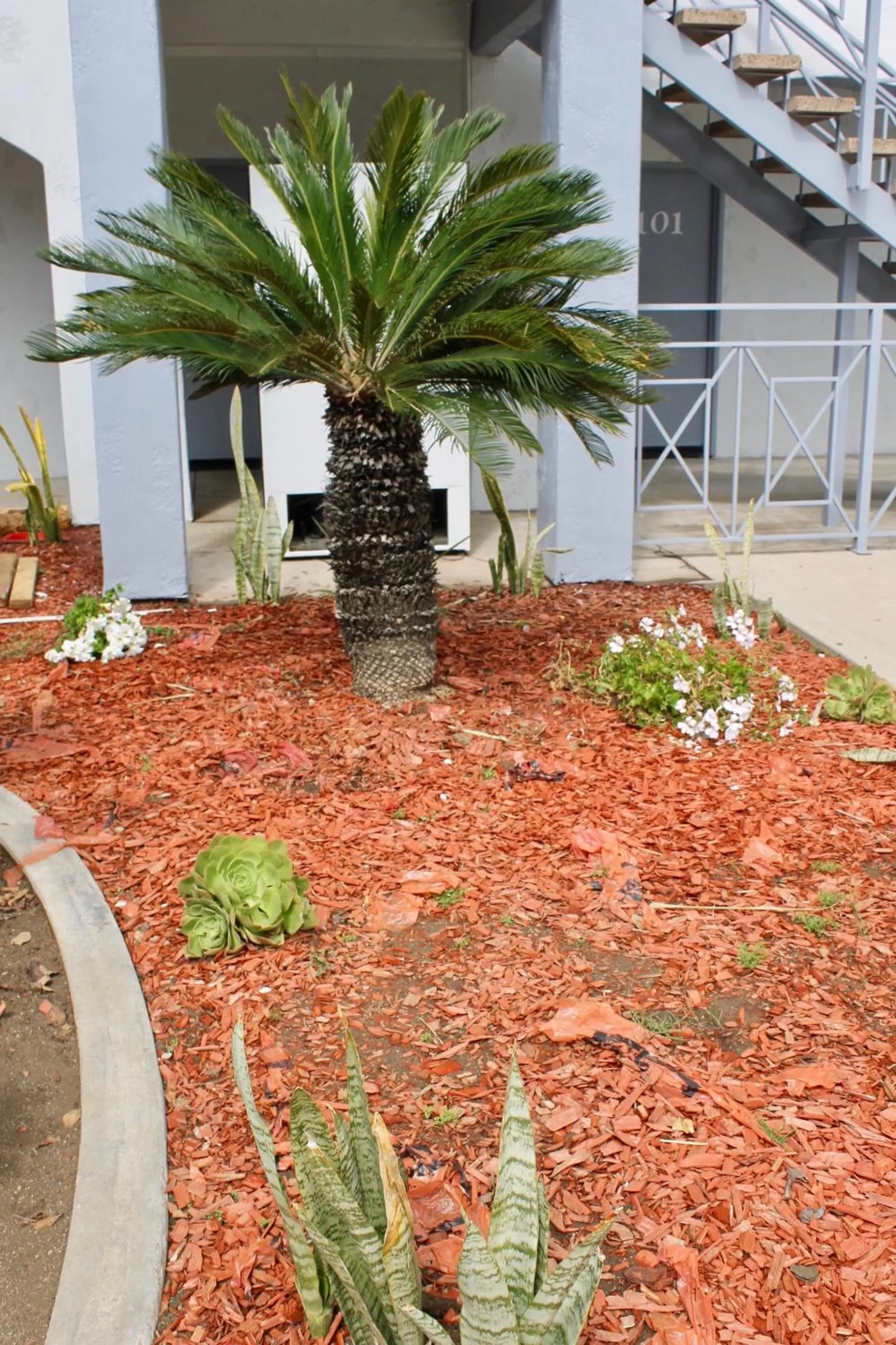Garden view in Crescent Inn