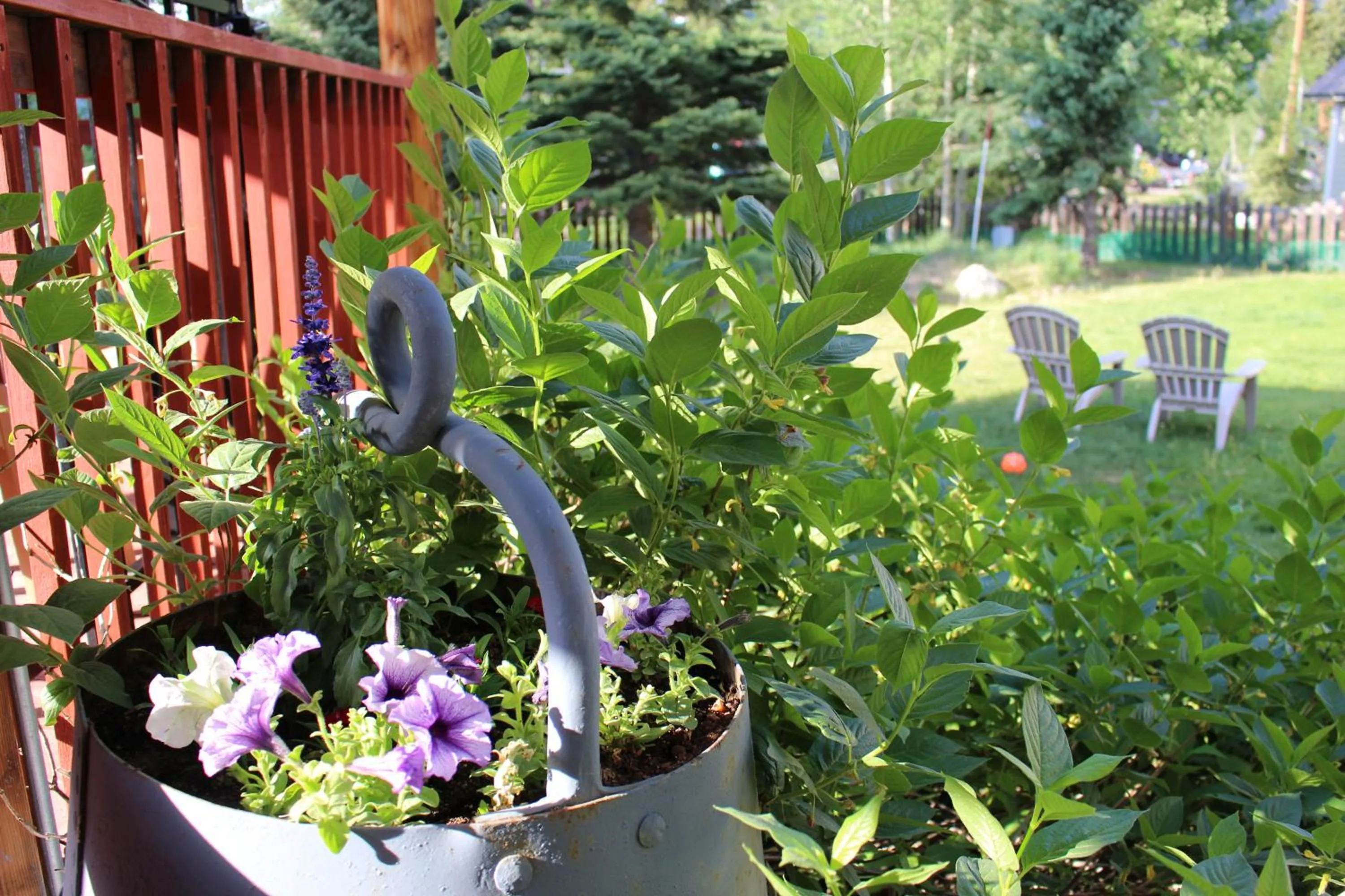 Garden in Cristiana Guesthaus