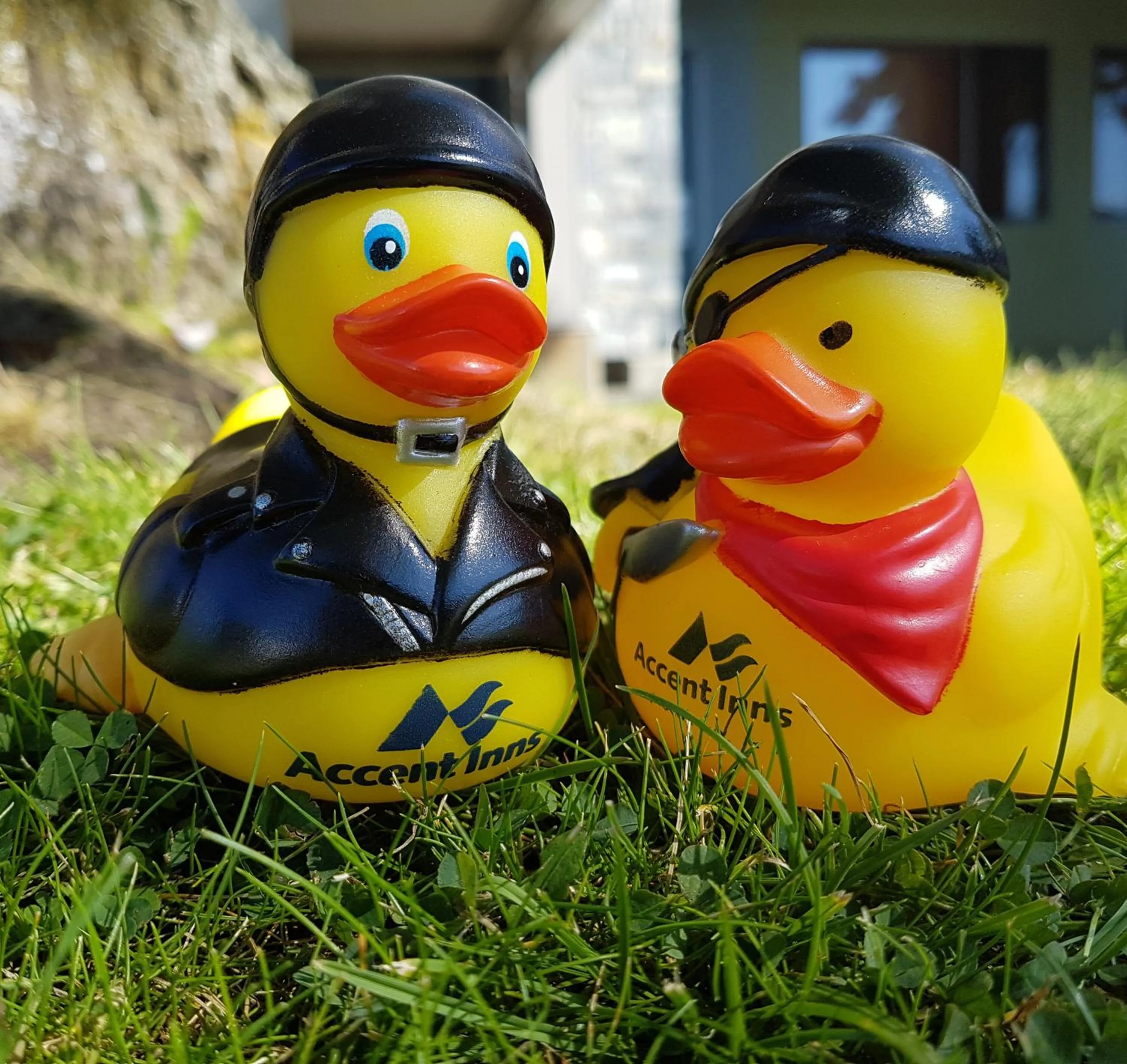 Other in Accent Inns Burnaby