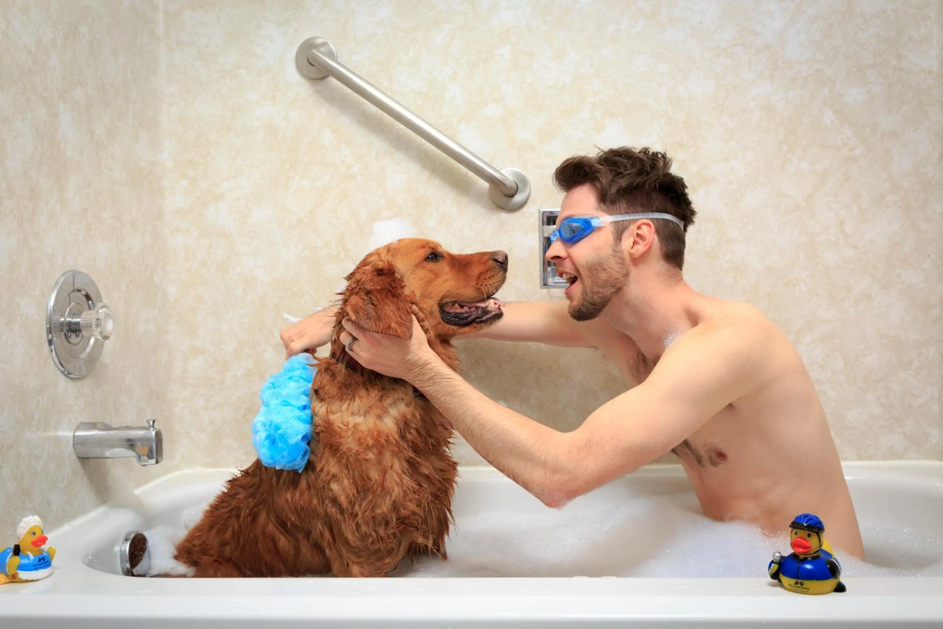 Pets in Accent Inns Burnaby