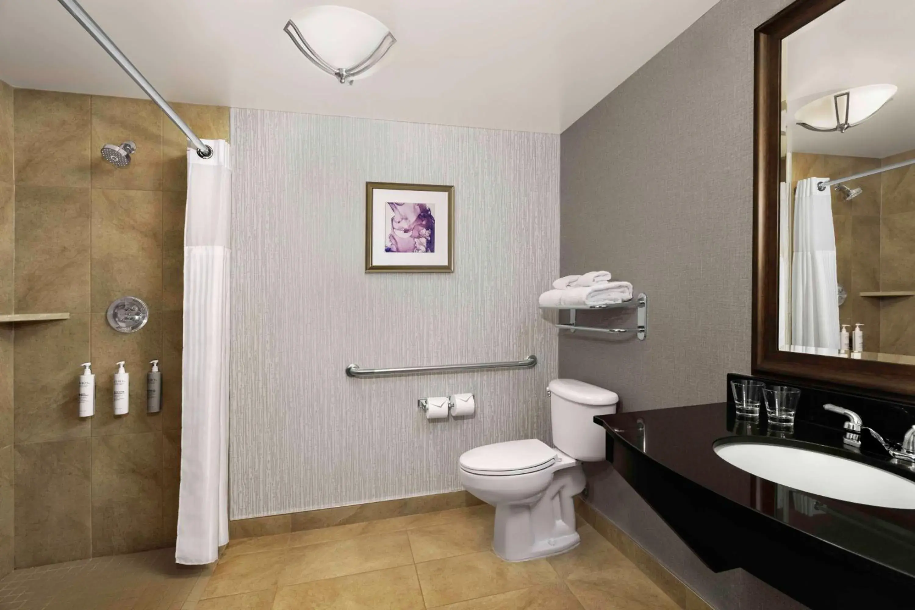 King Room with Roll-In Shower - Mobility Access in Hilton Garden Inn Calgary Airport King Room with Roll-In Shower - Mobility Access in Hilton Garden Inn Calgary Airport