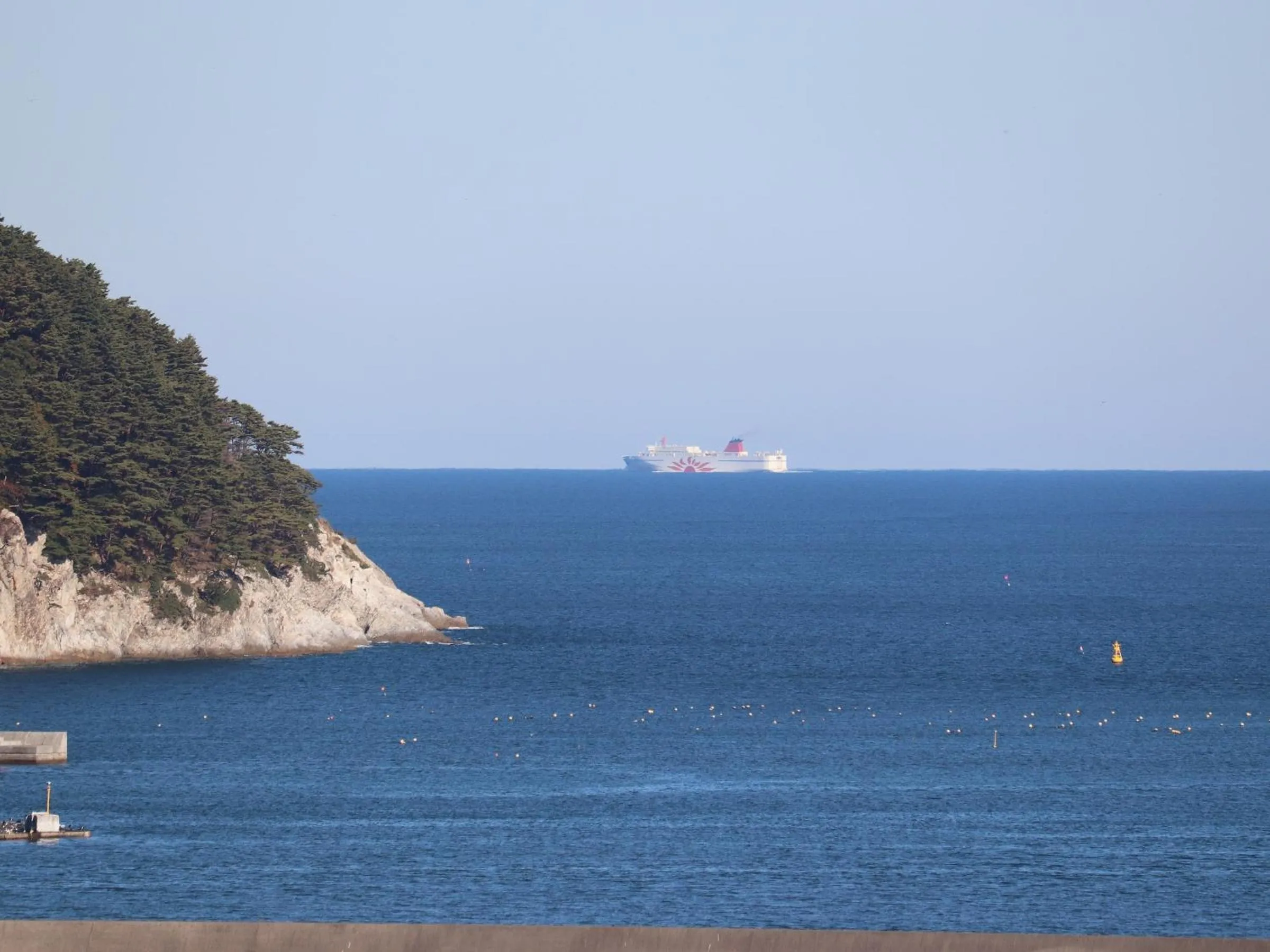 Natural landscape in Hotel Omiya