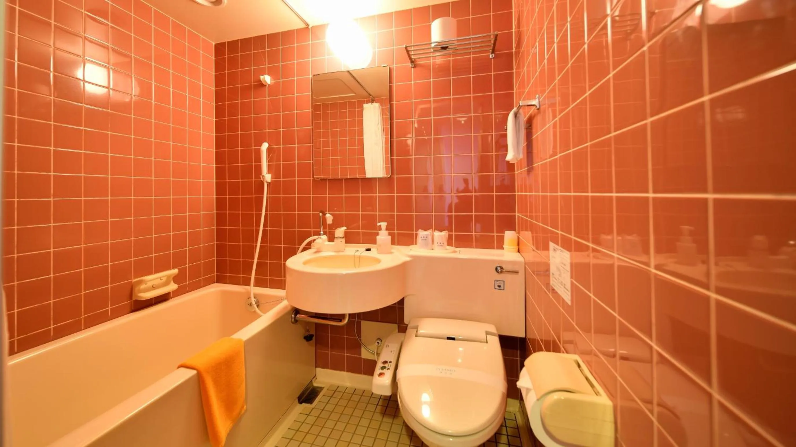 Shower in Hotel Omiya