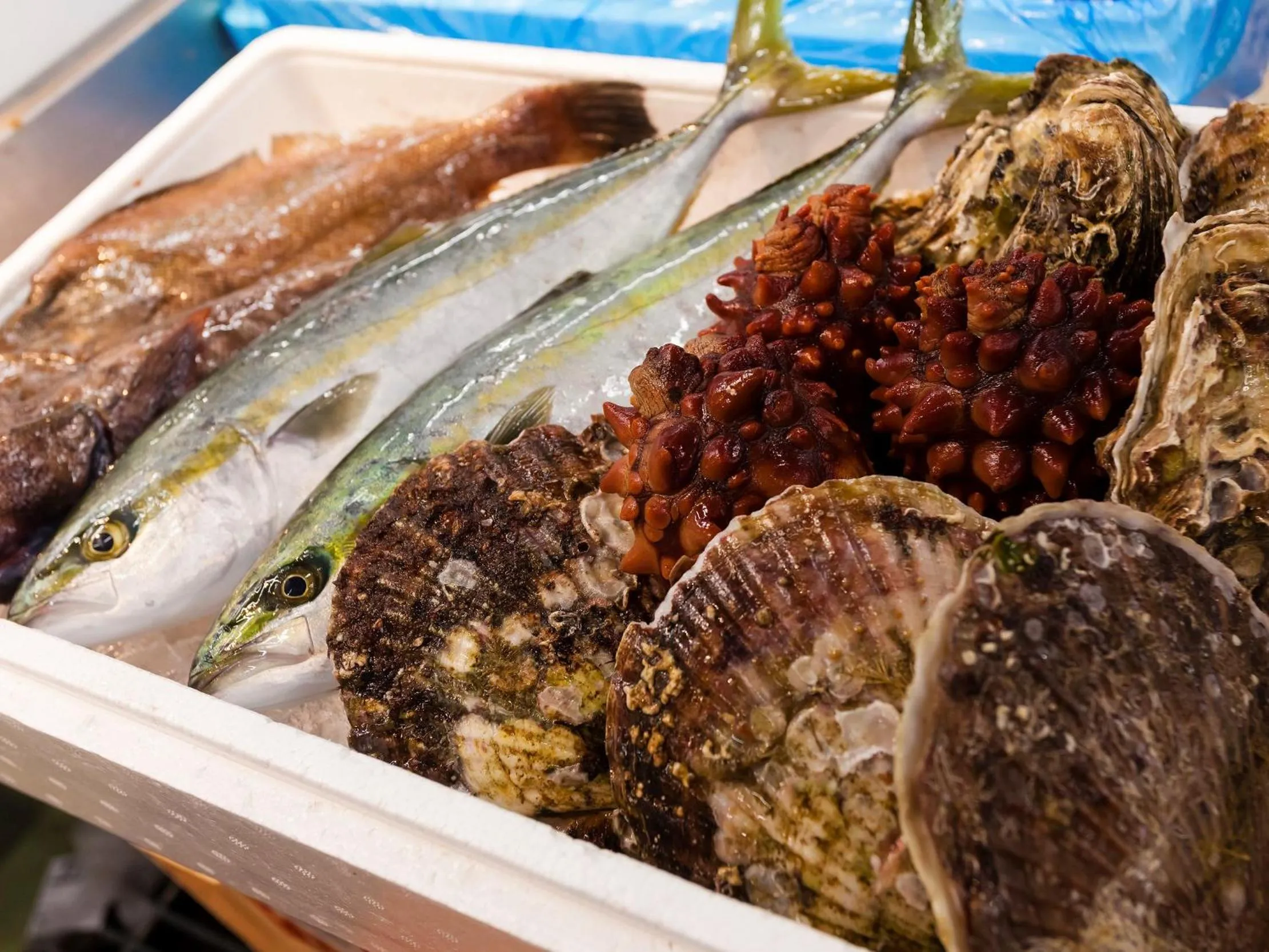 Nearby landmark in Hotel Omiya