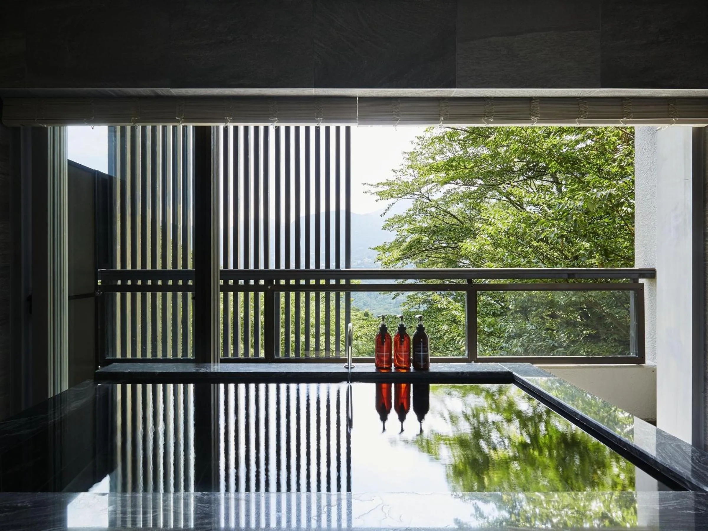 View (from property/room) in Hakone Elecasa Hotel and Spa