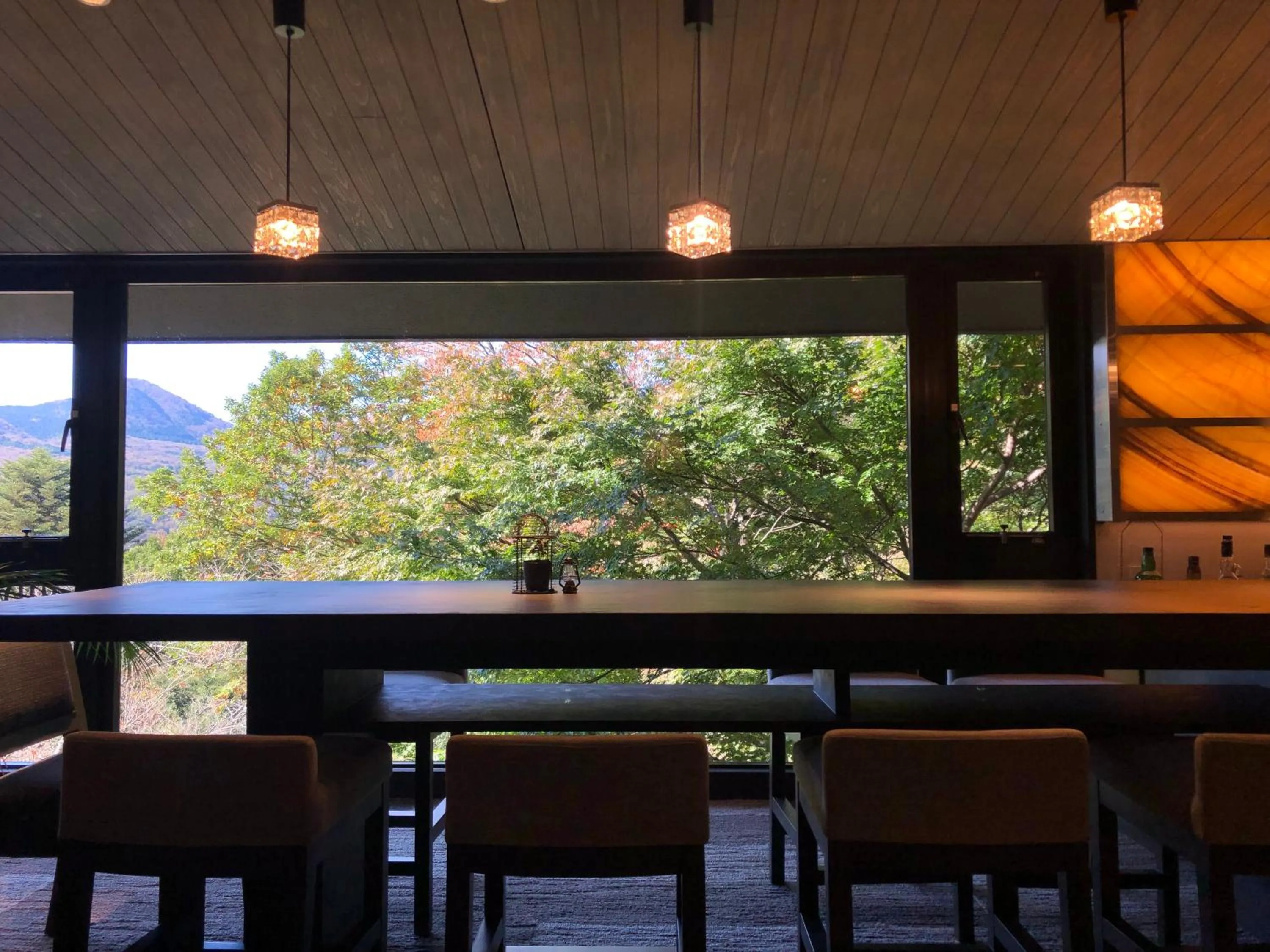 Lounge or bar in Hakone Elecasa Hotel and Spa