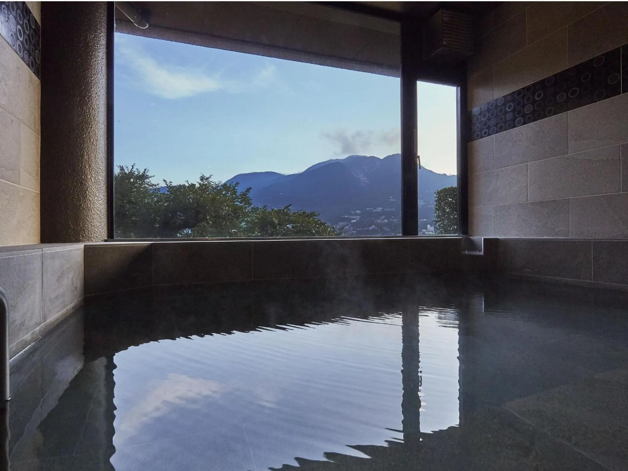 Hot Spring Bath in Hakone Elecasa Hotel and Spa