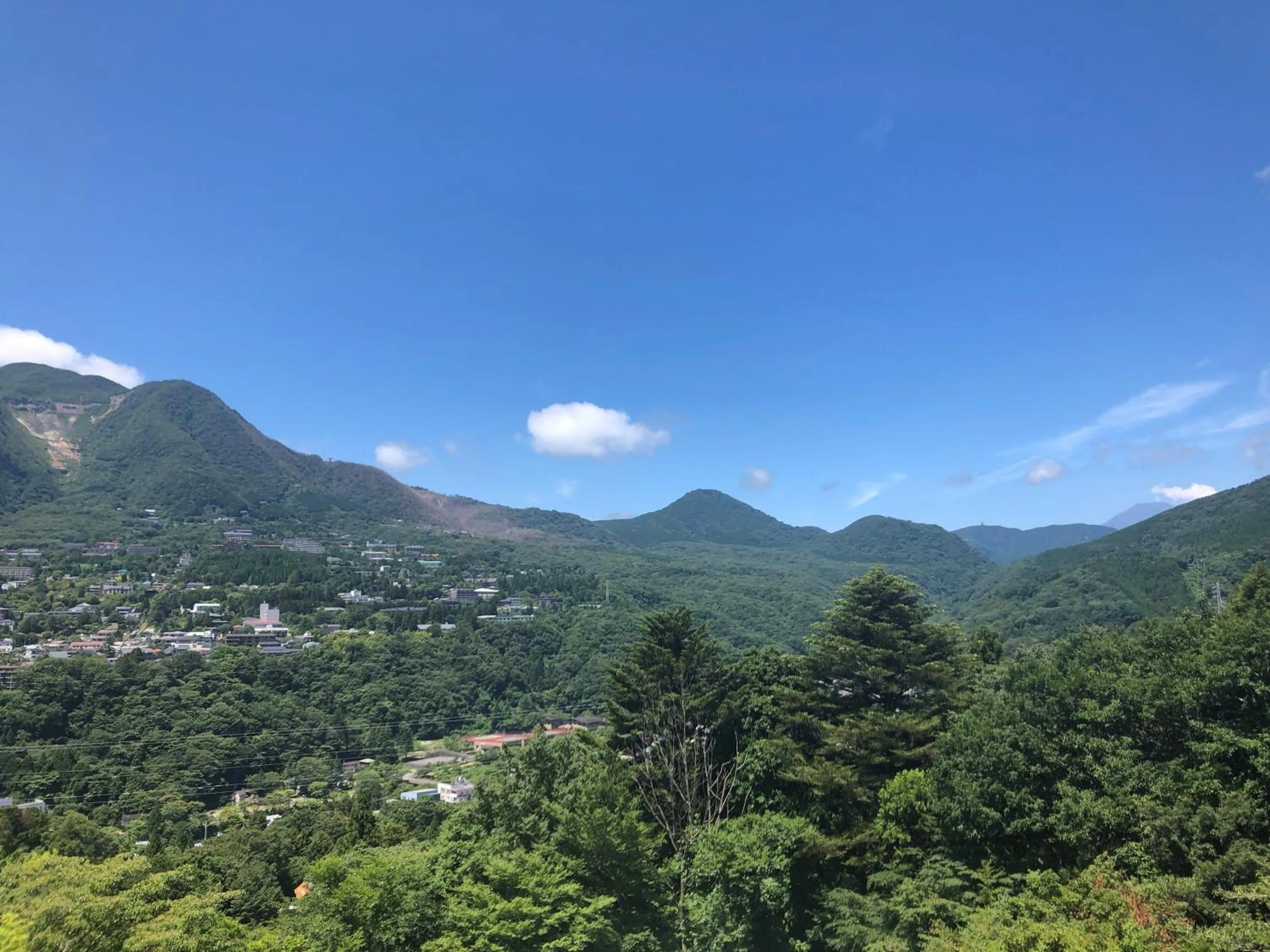 Natural landscape in Hakone Elecasa Hotel and Spa