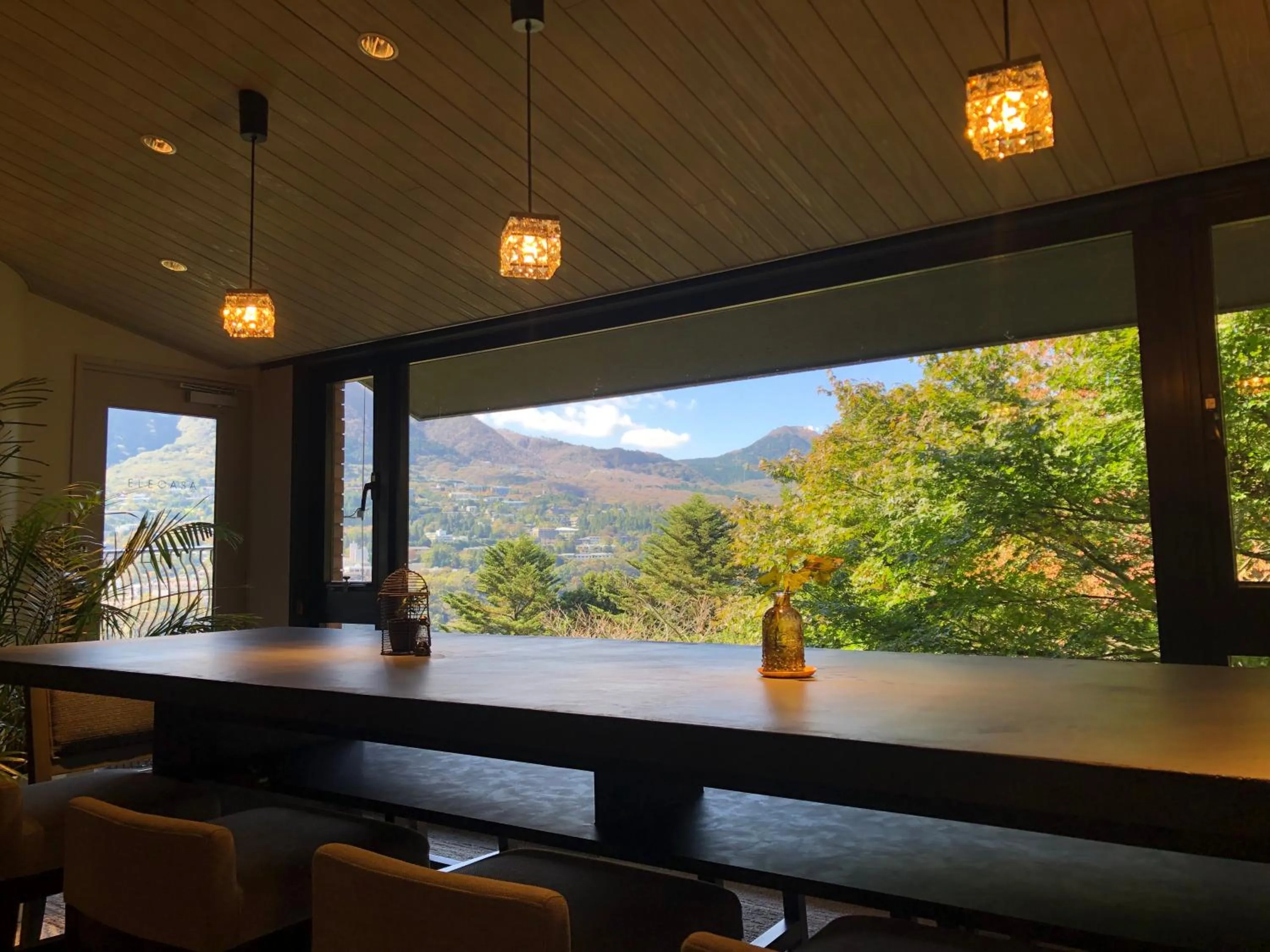Lounge or bar in Hakone Elecasa Hotel and Spa
