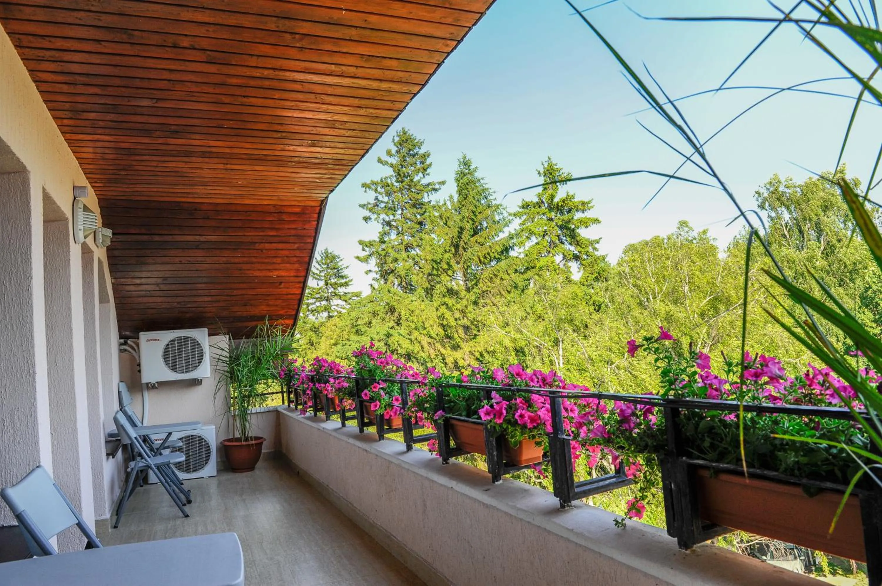 Balcony/Terrace in Villa Alice