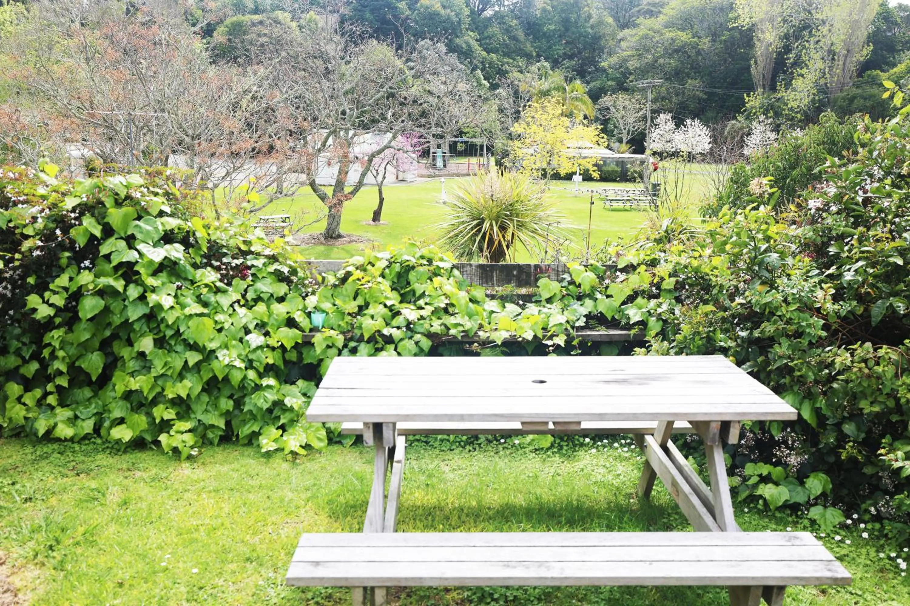 Orere Point TOP 10 Holiday Park