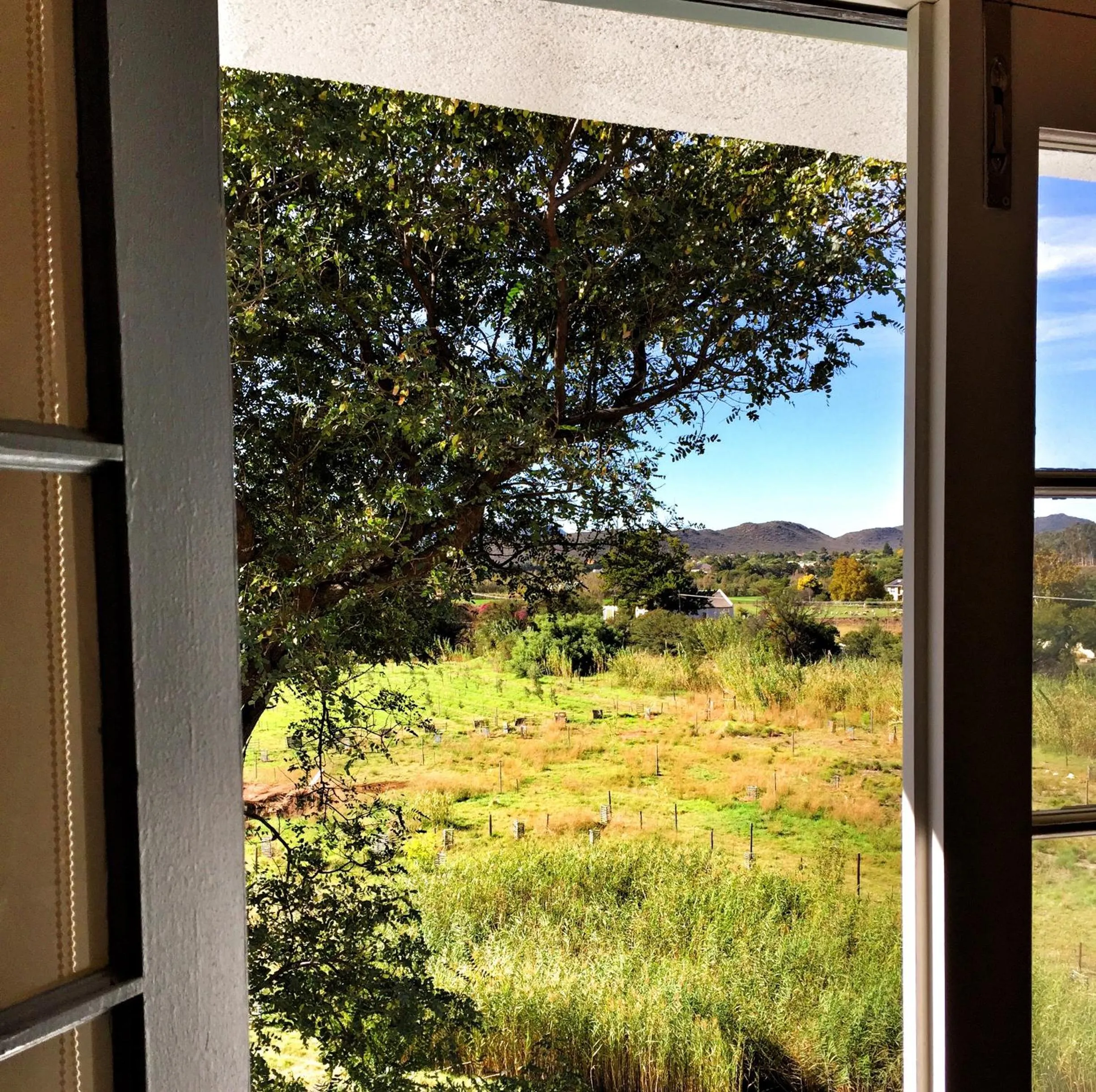 Garden view in Kogman & Keisie Guest Farm