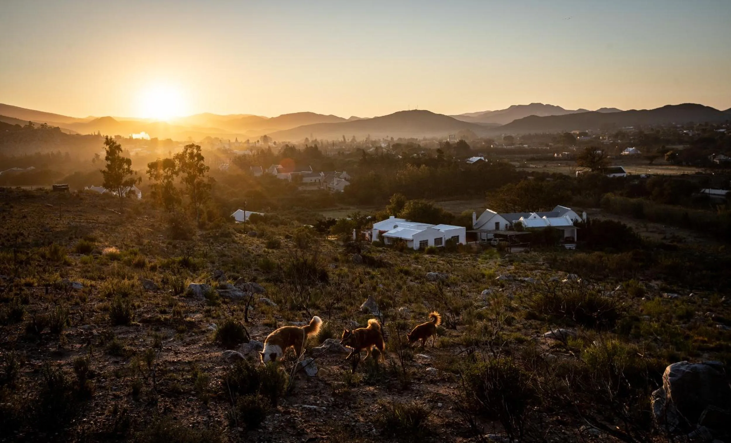 Natural landscape in Kogman & Keisie Guest Farm