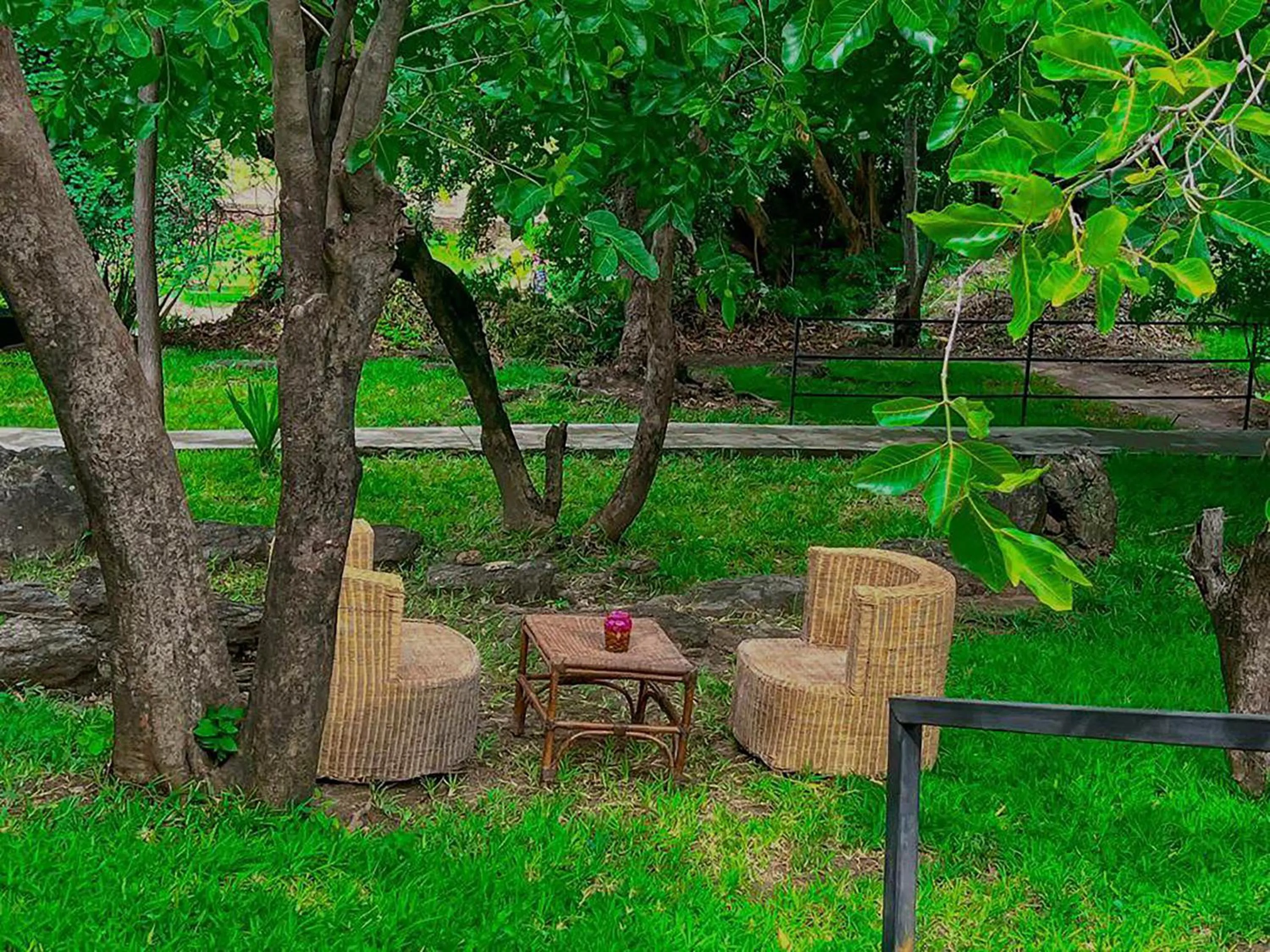 Garden in Kambiri Beach by Serendib