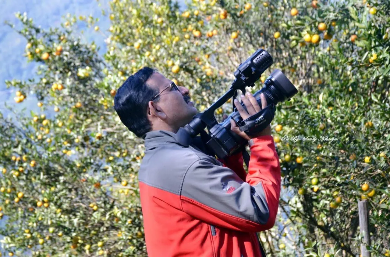 Orange Orchard