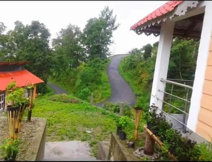 Orange Orchard