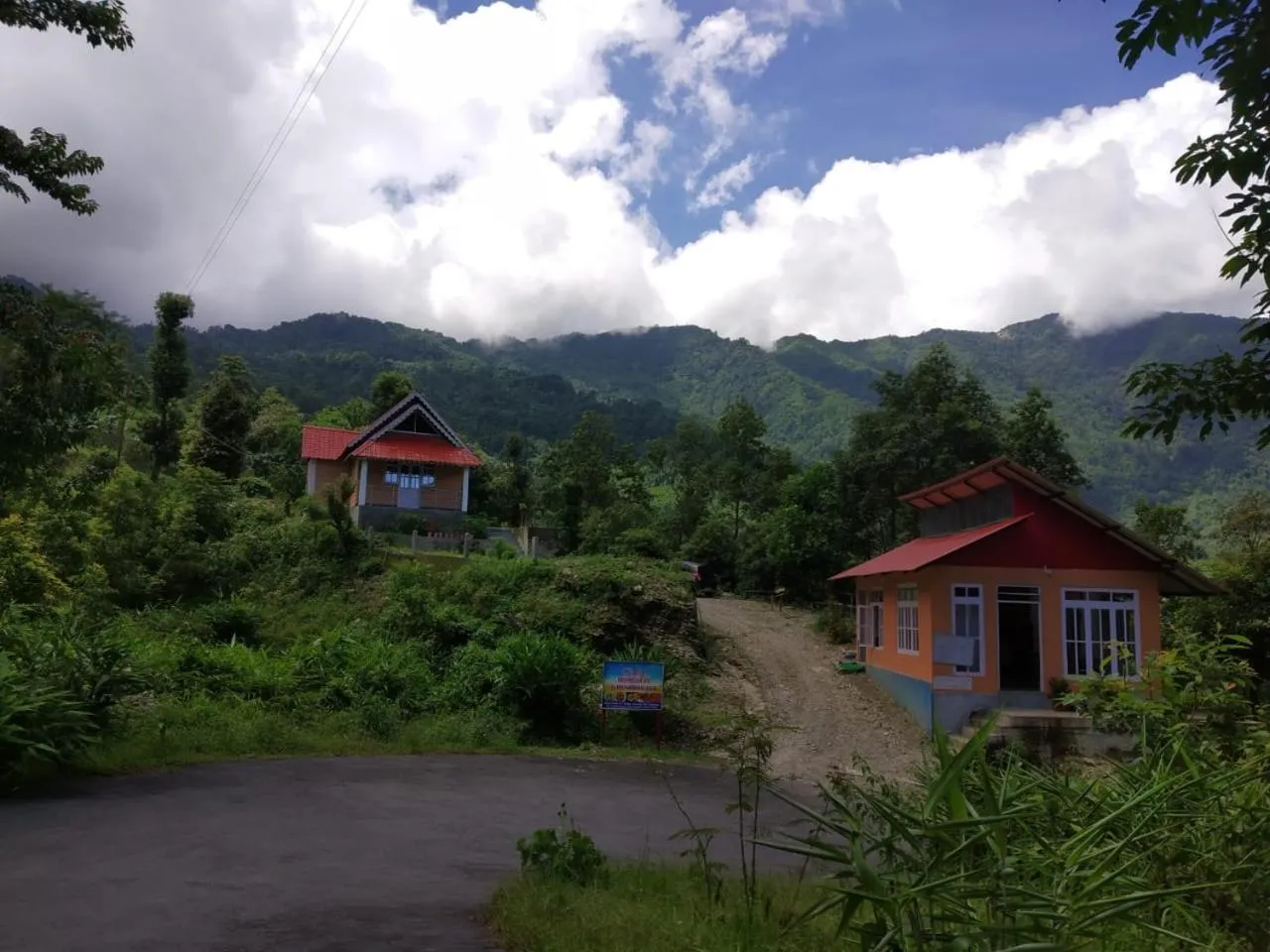 Orange Orchard