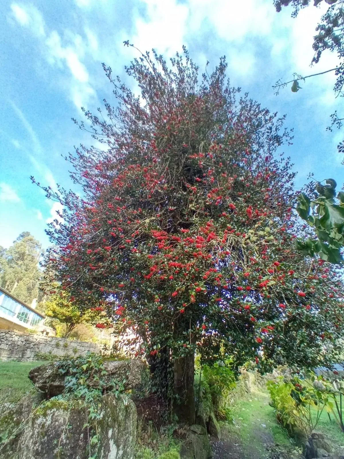 Spring in Casa Do Cribeiro