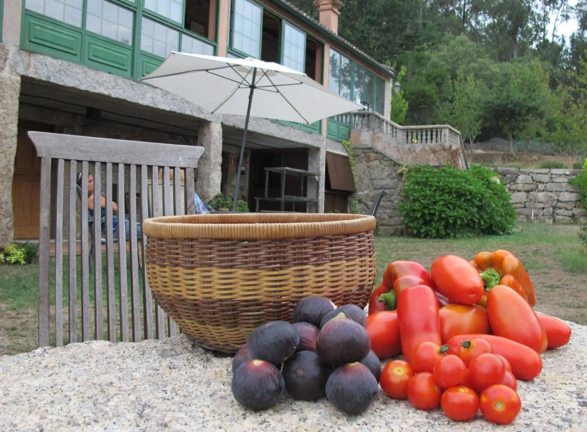 Garden in Casa Do Cribeiro