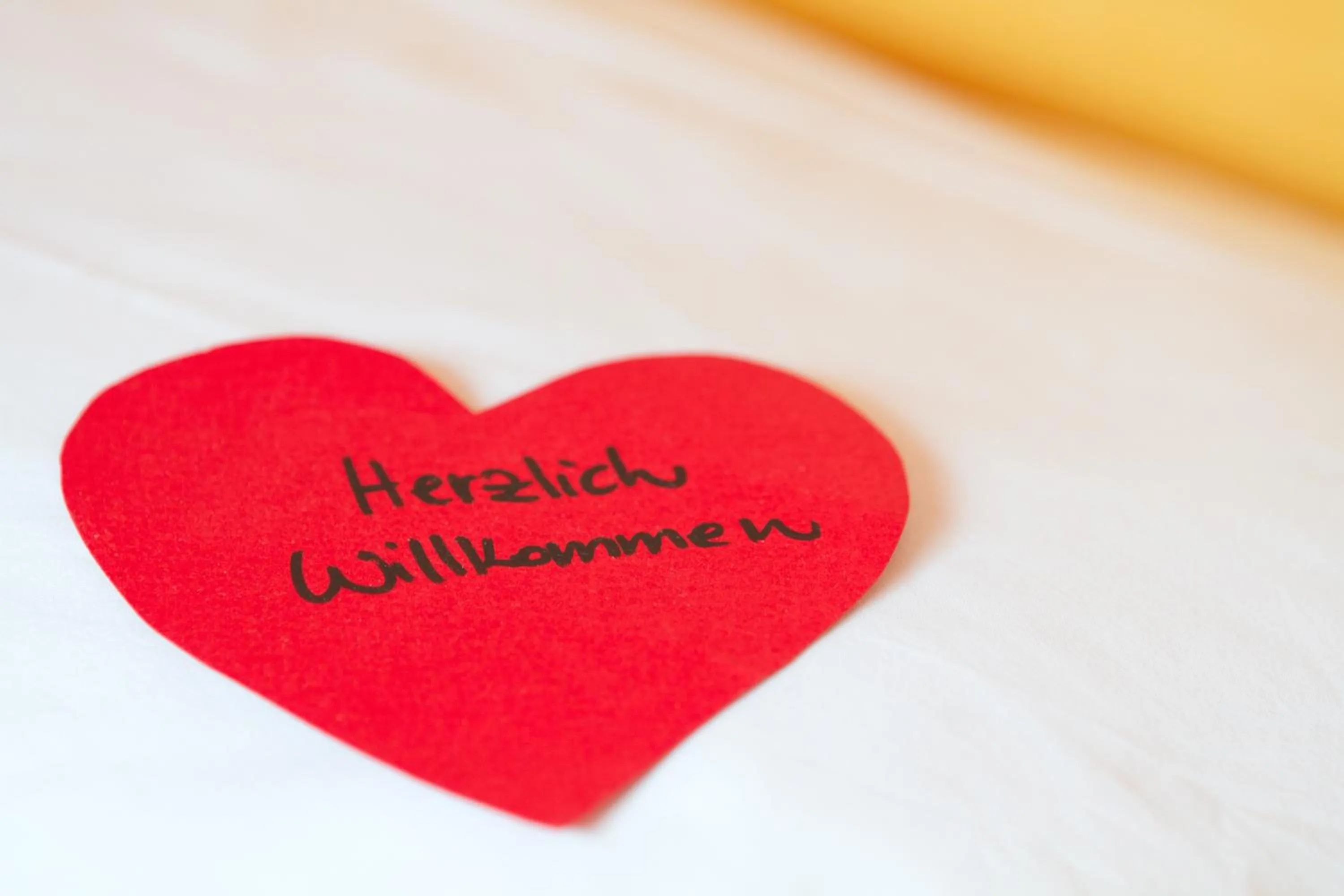 Bed in Hotel Antermoia