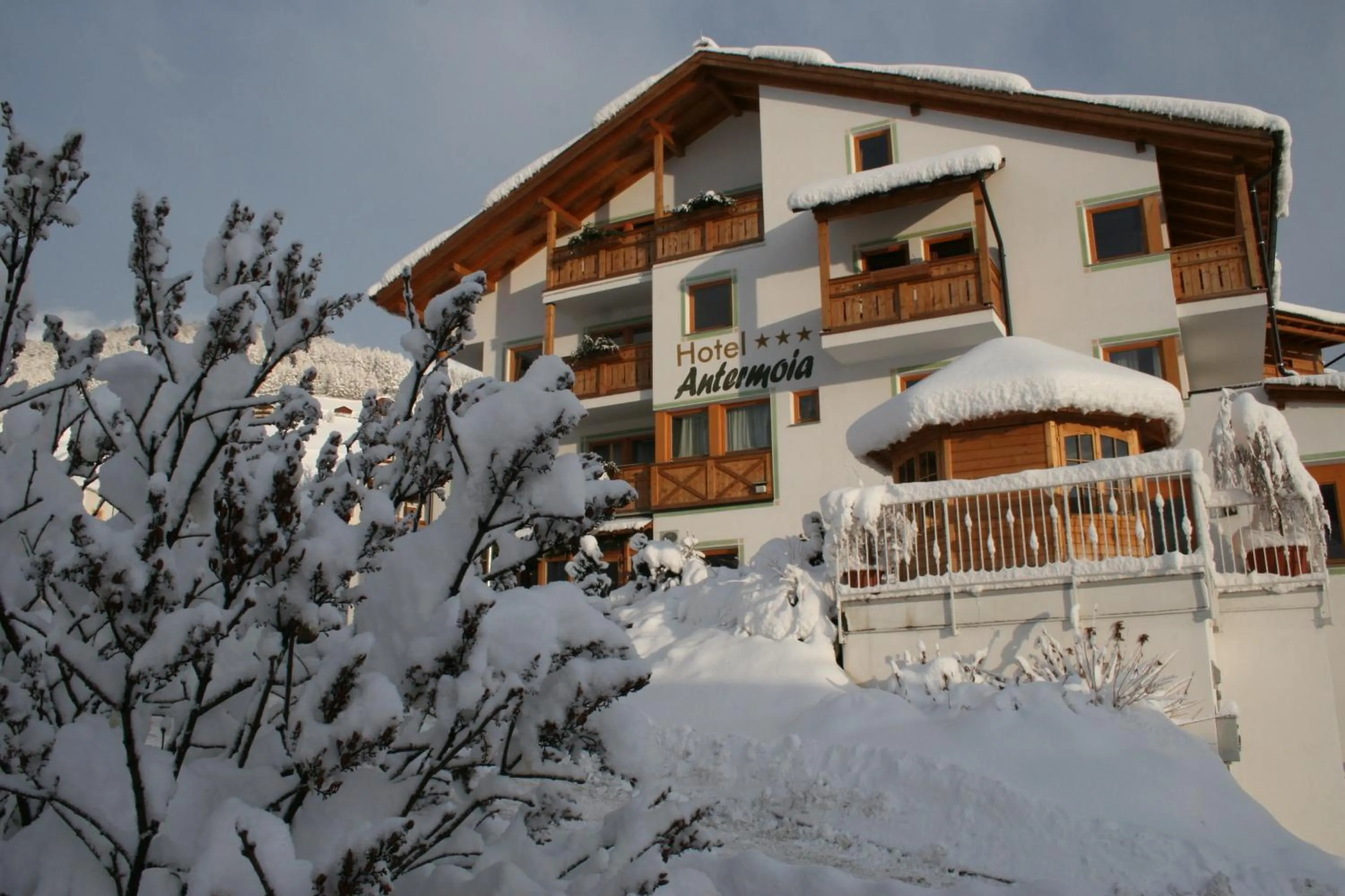 Facade/entrance in Hotel Antermoia