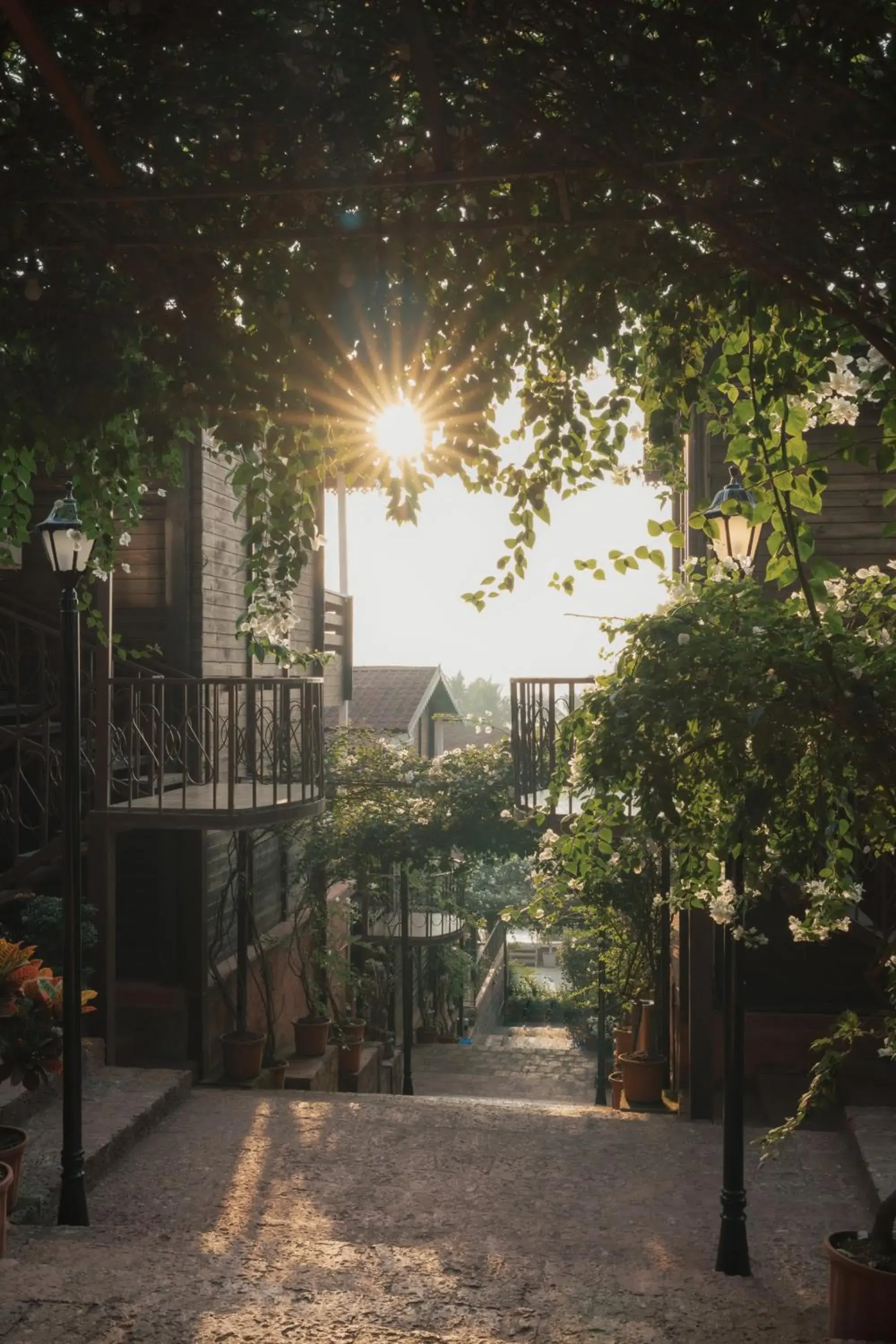 The Regalia Resort The Regalia Resort