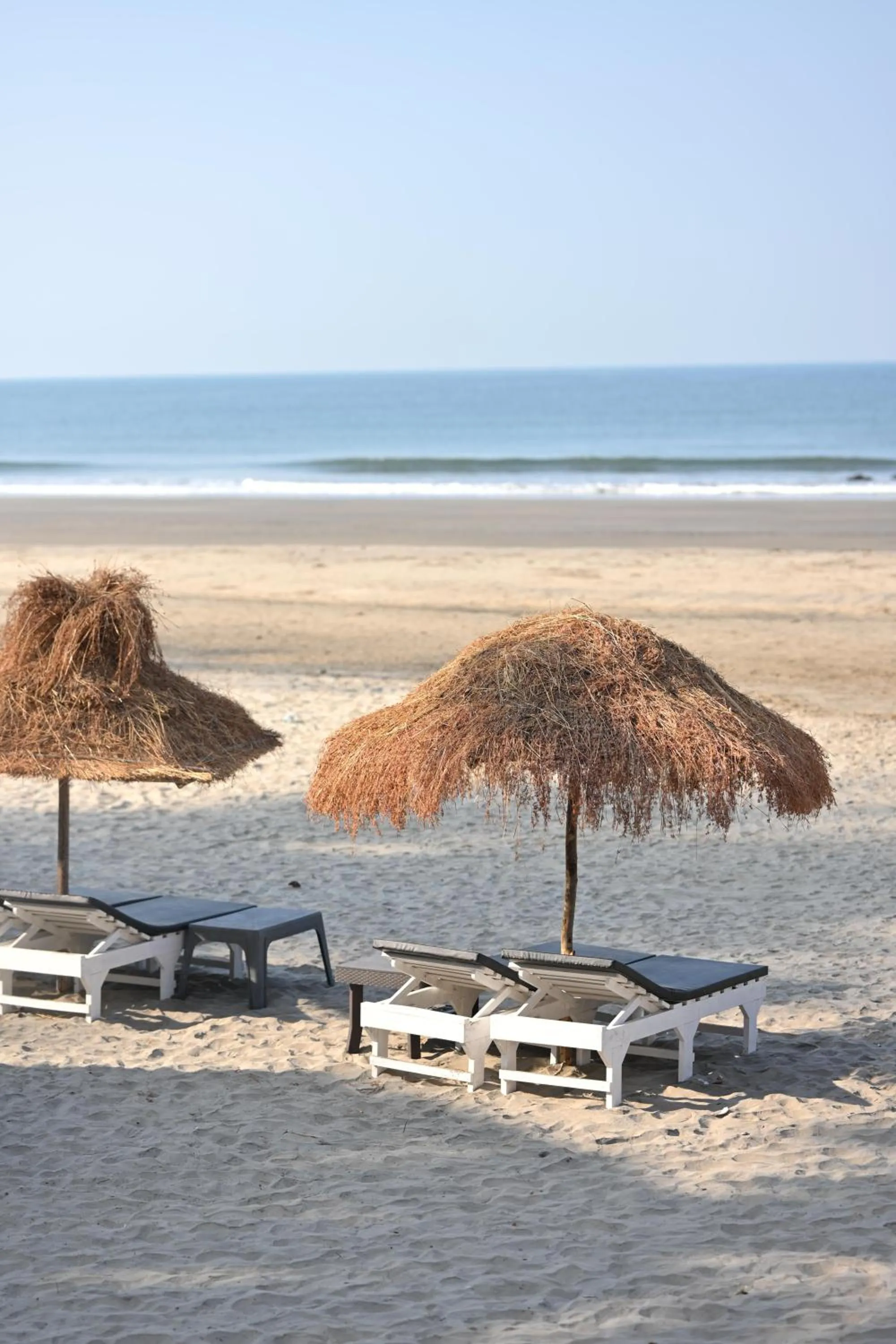 Beach in The Regalia Resort