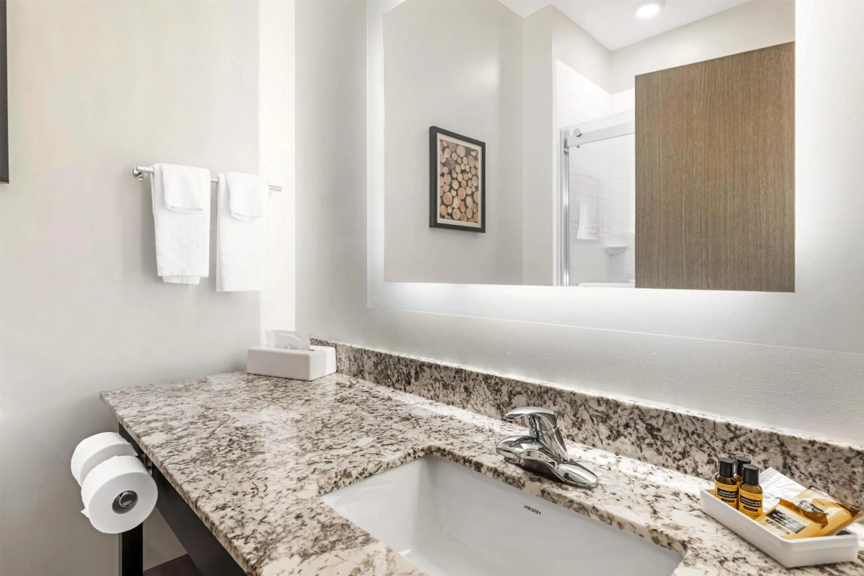 Bathroom in Best Western Plus Isanti